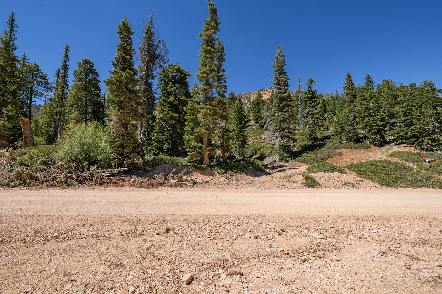  Quiet Mountain Retreat Near Navajo Lake - 物件實景