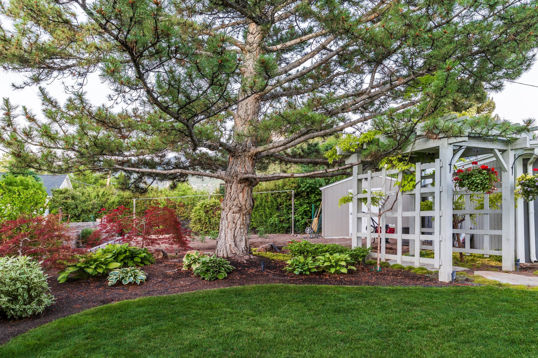  Tastefully Updated Holladay Rambler on .60 acre Manicured Lot - 物件實景