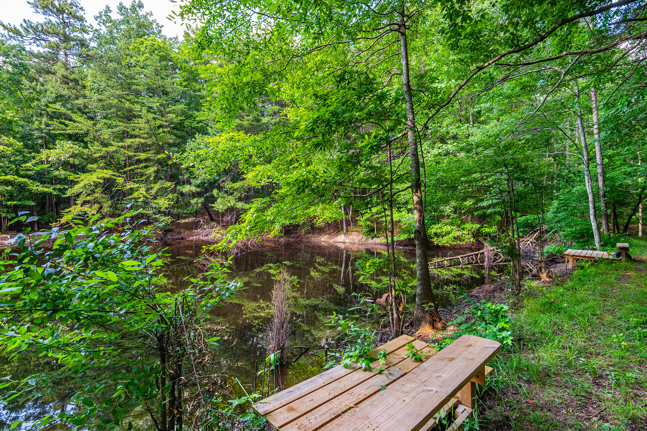  Extraordinary 11.48-Acre Estate in the Heart of East Cobb - 物件實景