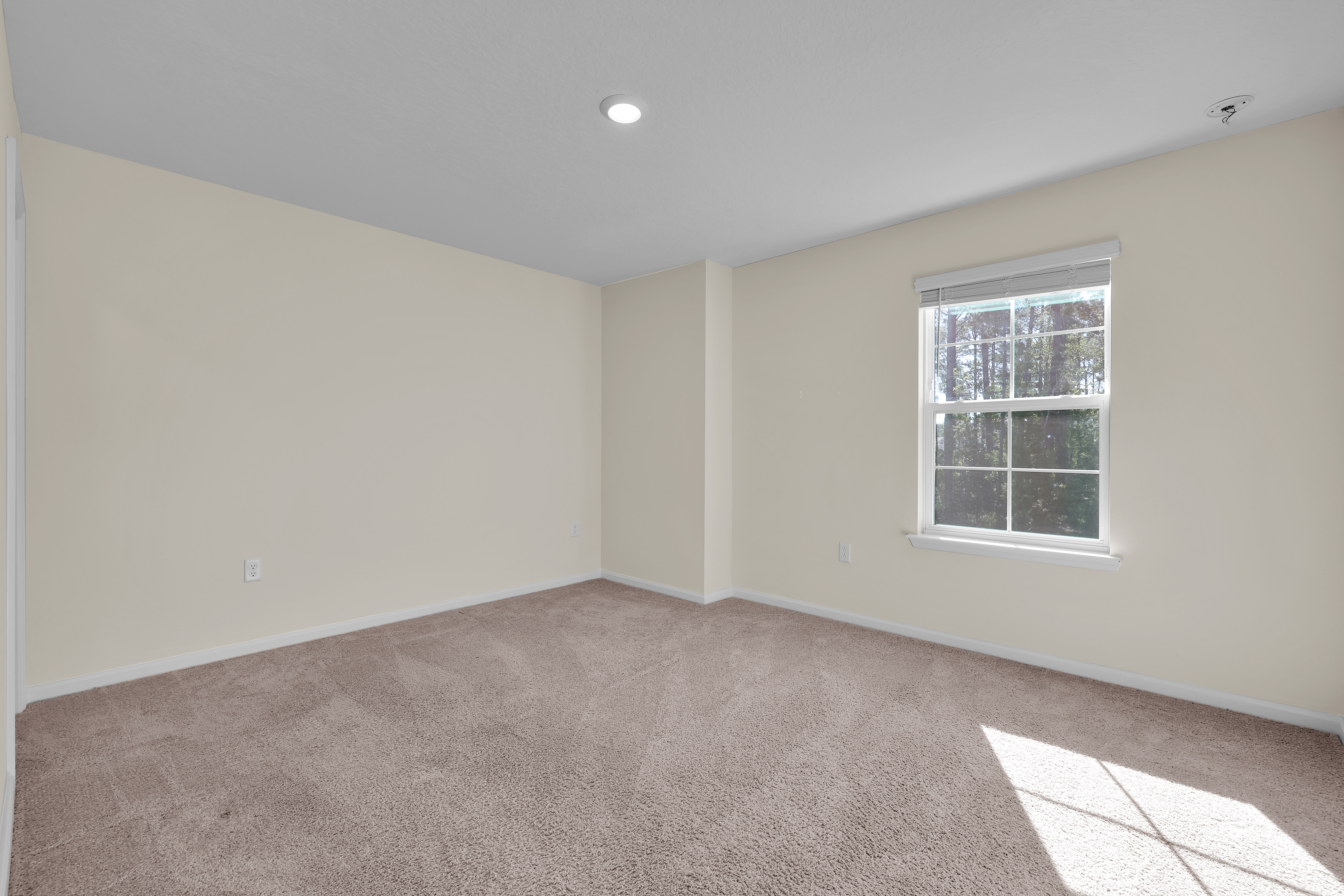  138 Mustard Hill Court, St. Augustine, FL, 32086 - 物件實景