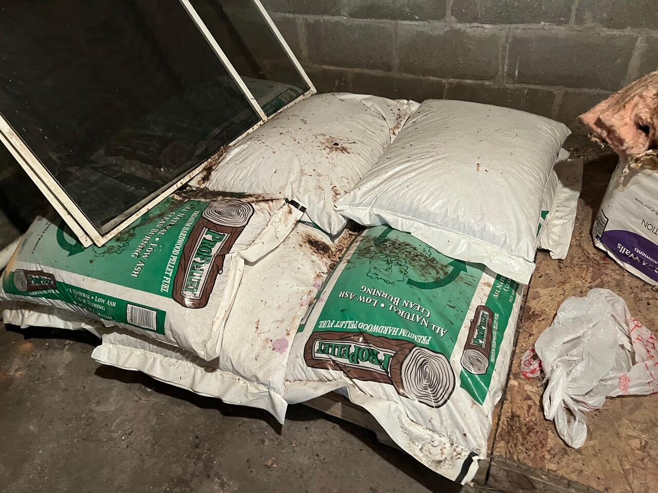 Baldwin, Michigan, 49304, United States, 3 Bedrooms Bedrooms, ,2 BathroomsBathrooms,Residential,For Sale,1990507