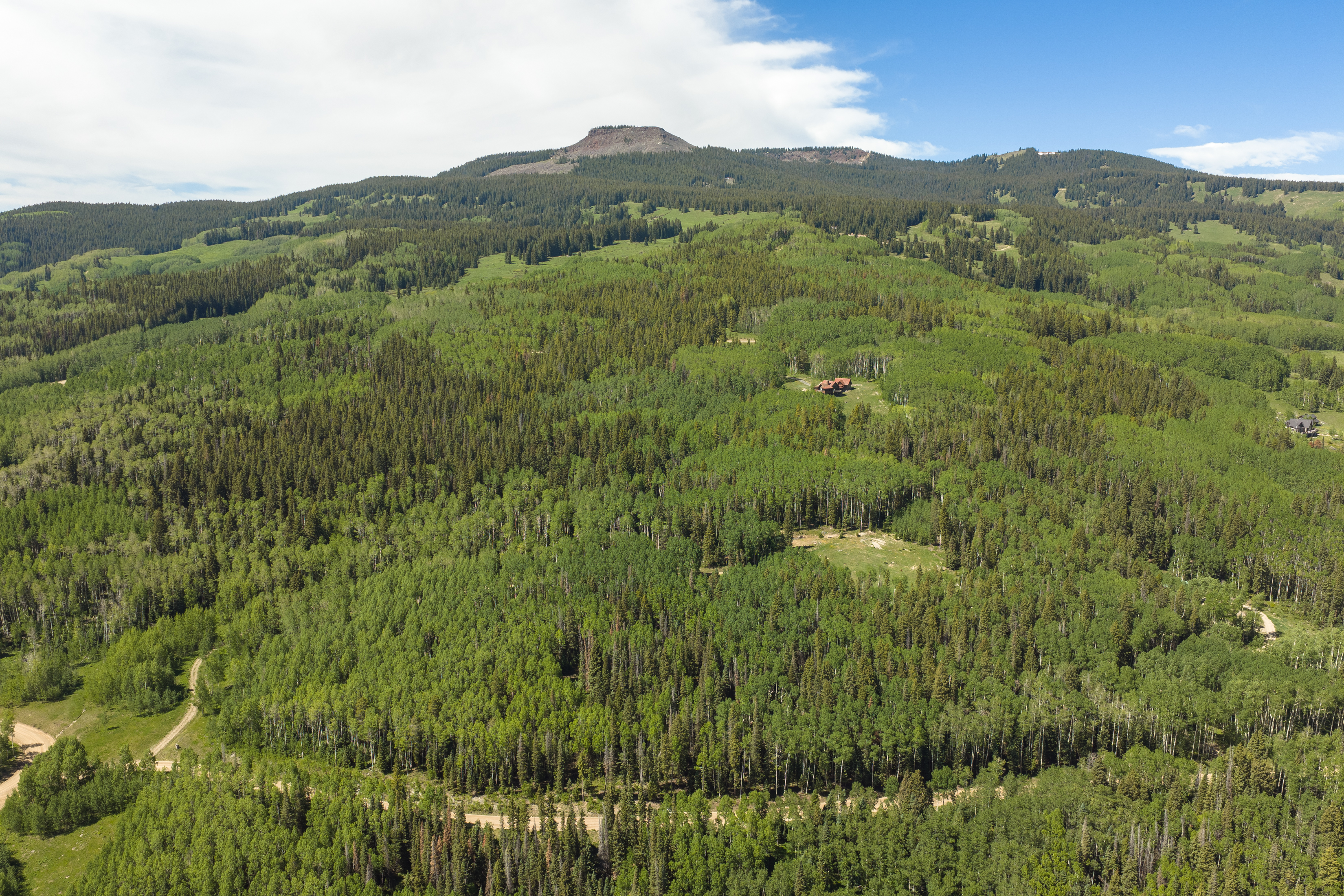  141 White Buffalo Trail, Crested Butte, CO, 81224 - 物件實景