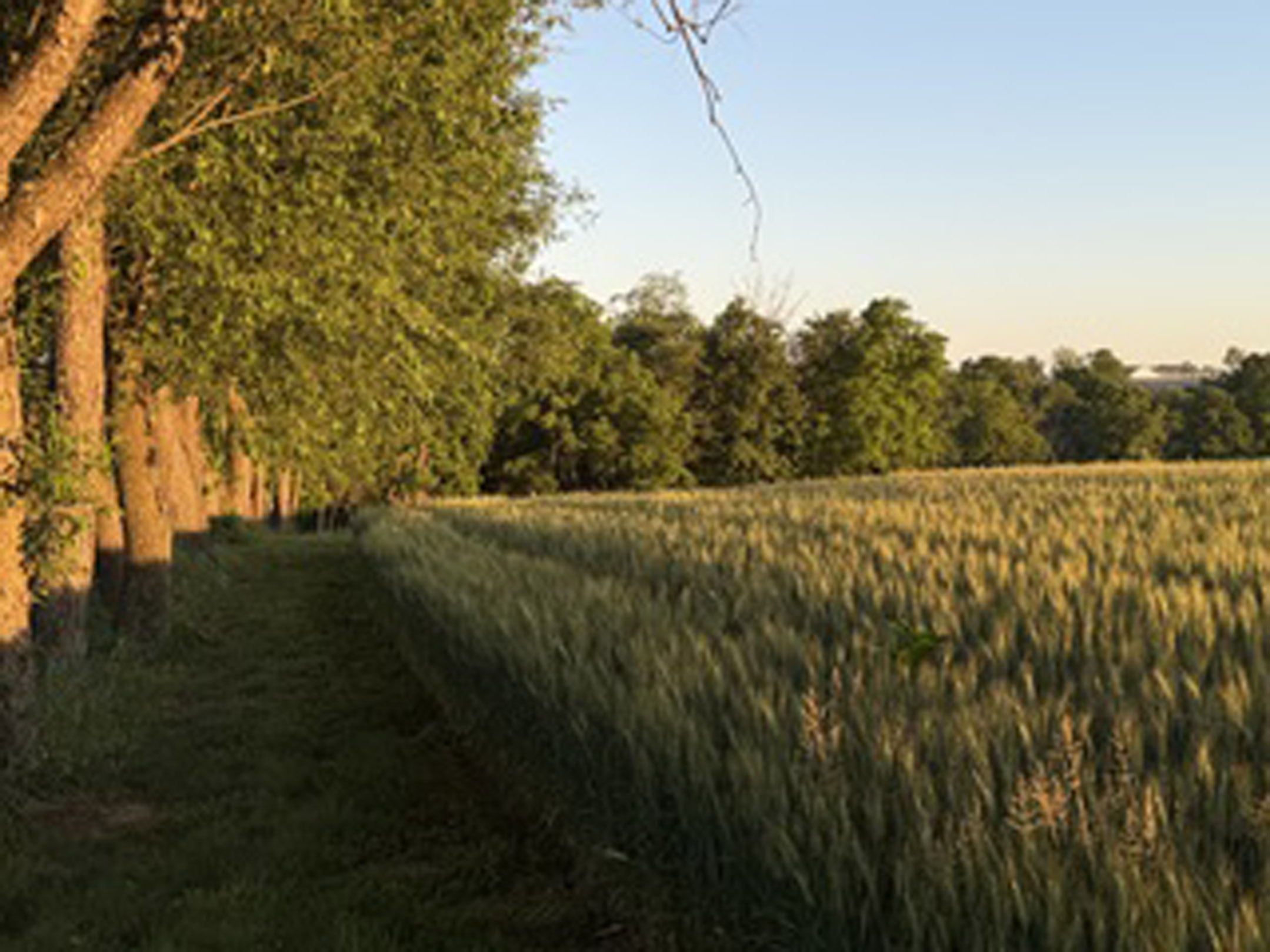  3646 Meadow View Rd, Manheim, PA - 物件實景