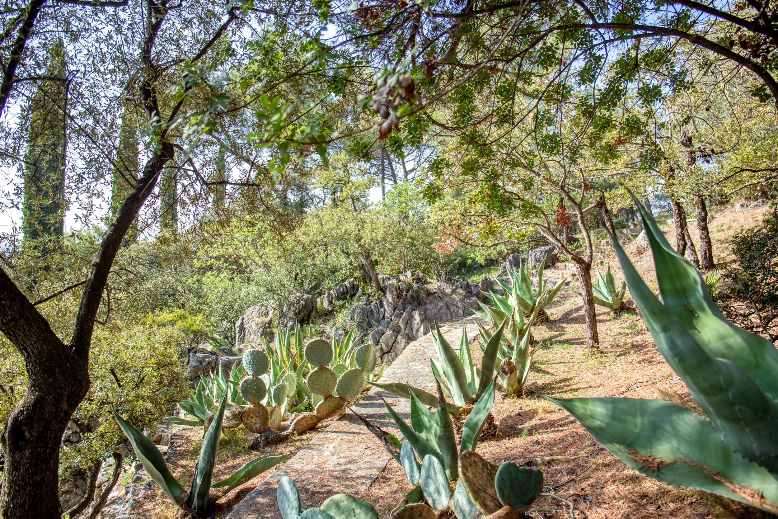  Neo-provençal villa with sea view in Nice Gairaut - 物件實景