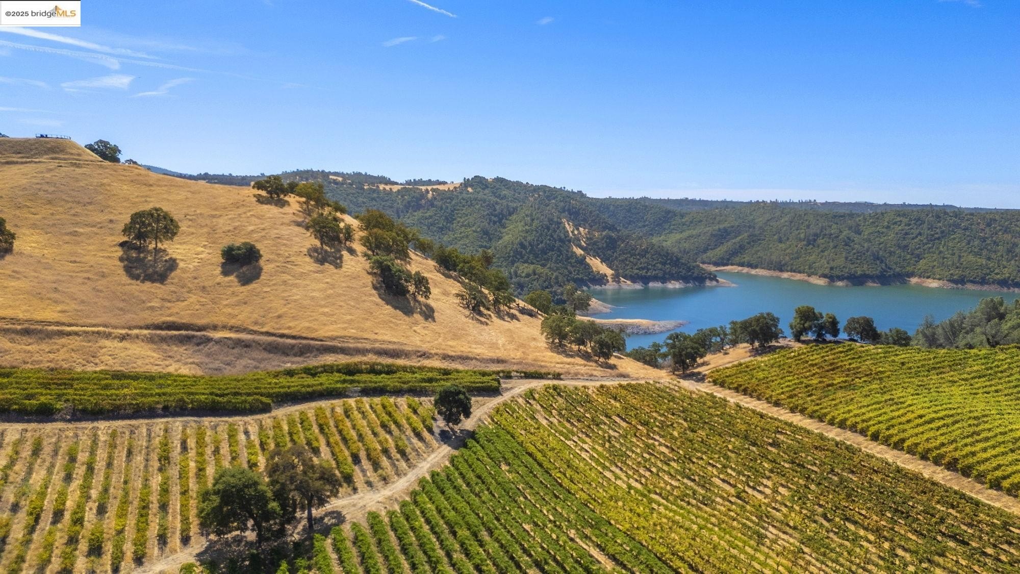 Murphys, California, 95247, United States, ,Land,For Sale,1975931