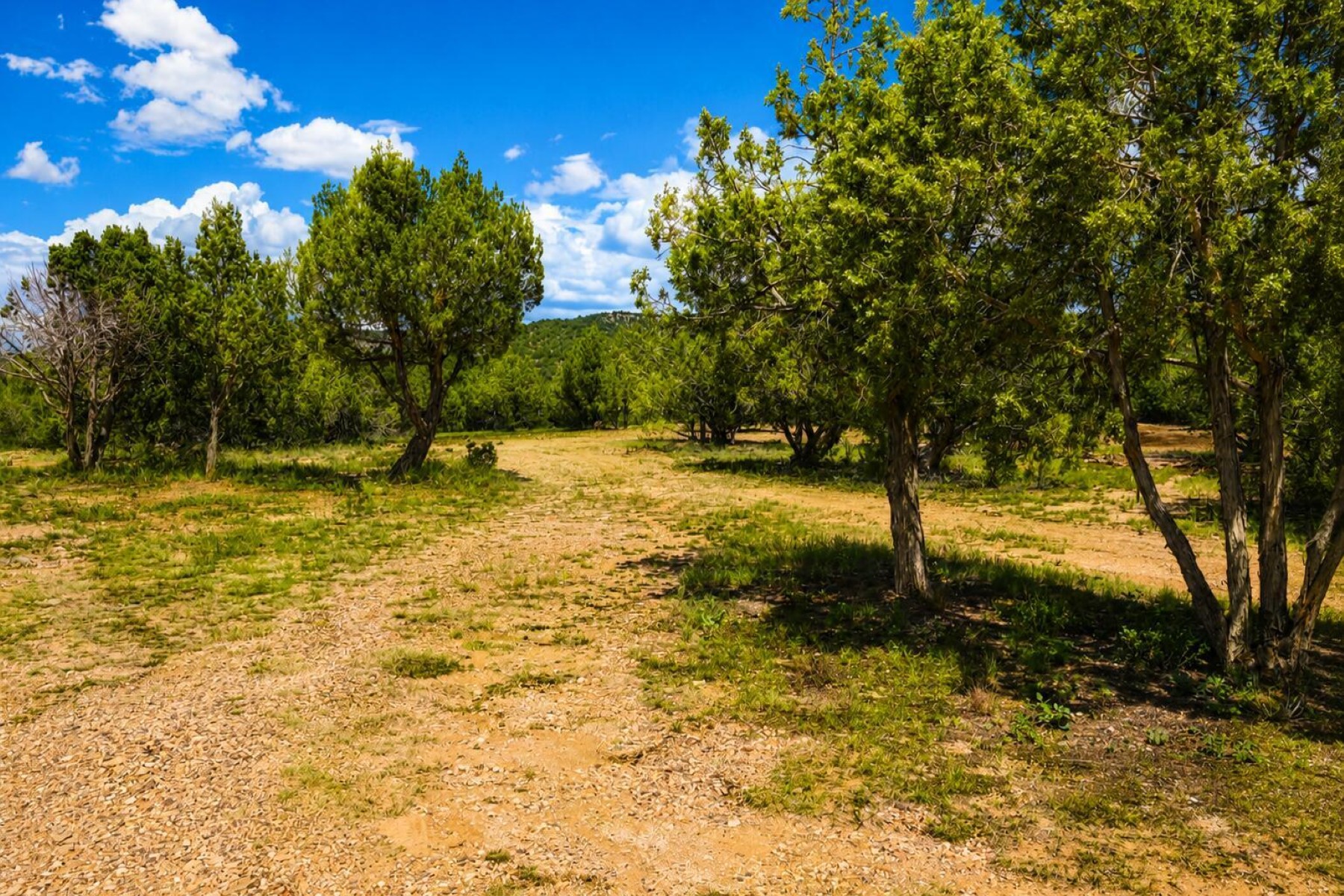  101 W Highland Street¦Williams, AZ - 物件實景