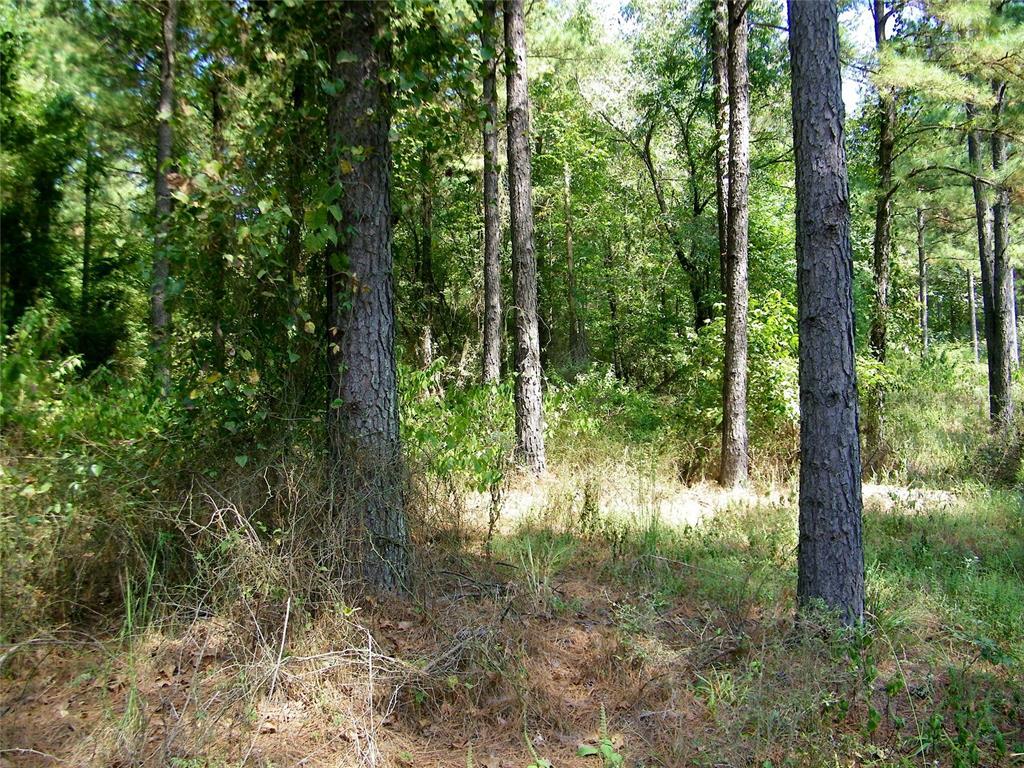 Broken Bow, Oklahoma, 74728, United States, ,Residential,For Sale,1979541