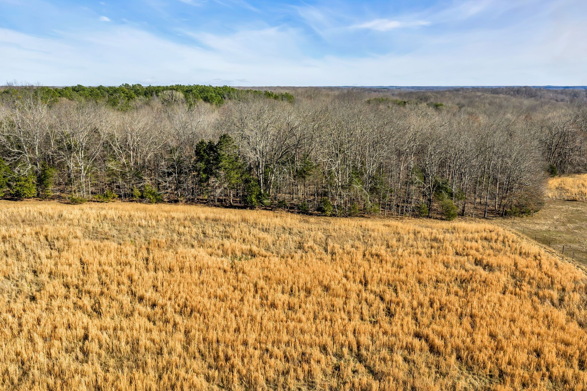  2340 Ridge Road, McEwen, TN 37101 - 物件實景