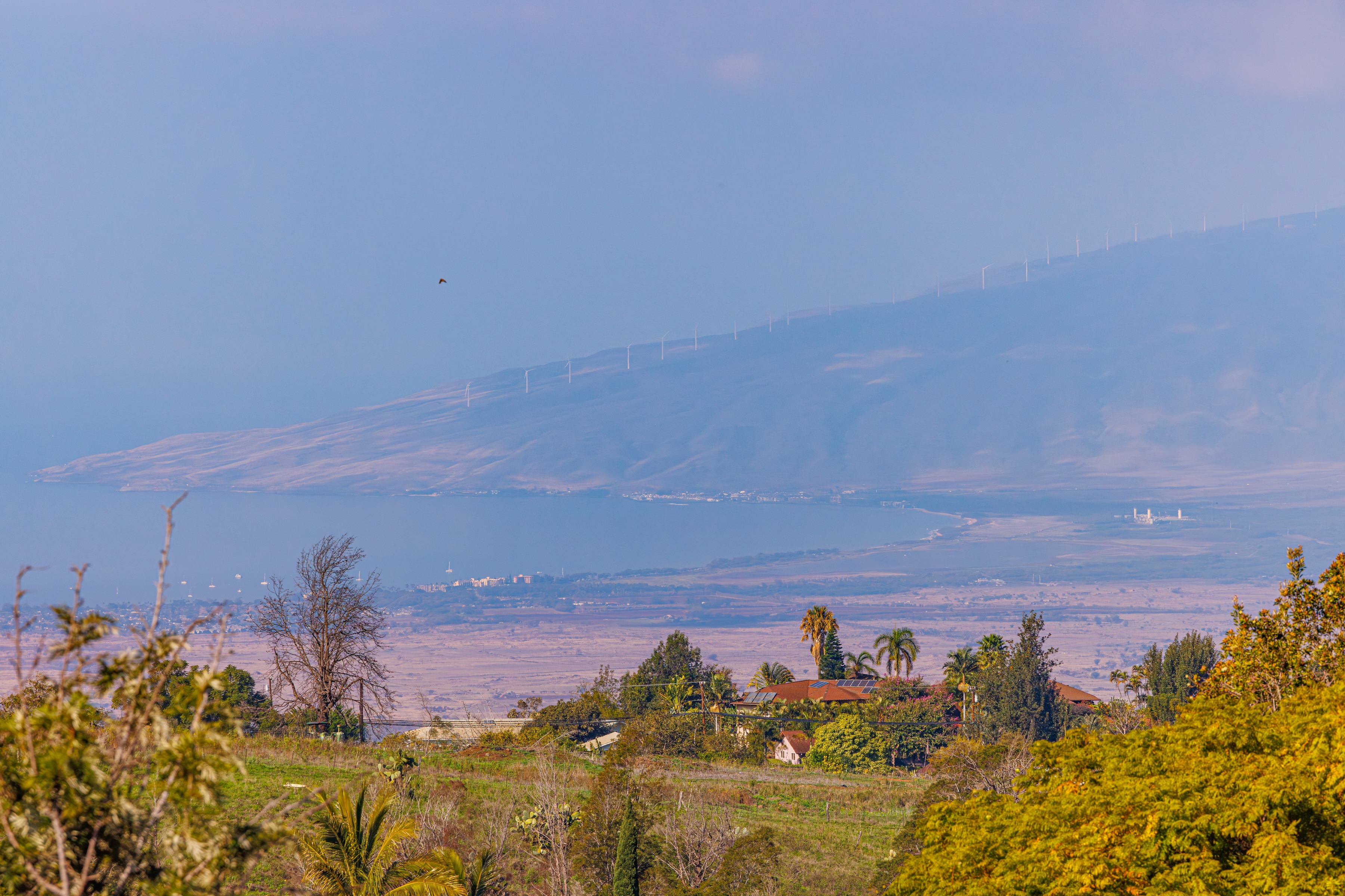  Elevated Kula Retreat with Privacy and Scenic Surroundings - 物件實景