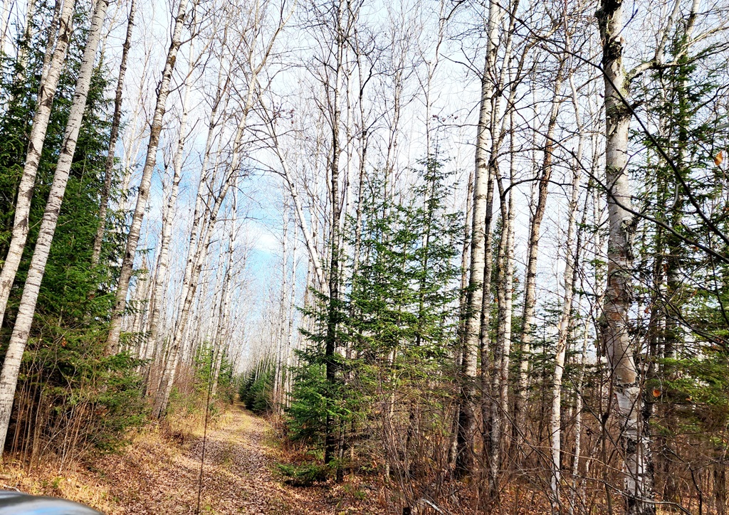 Grand Rapids, Minnesota, 55744, United States, ,Land,For Sale,1983791