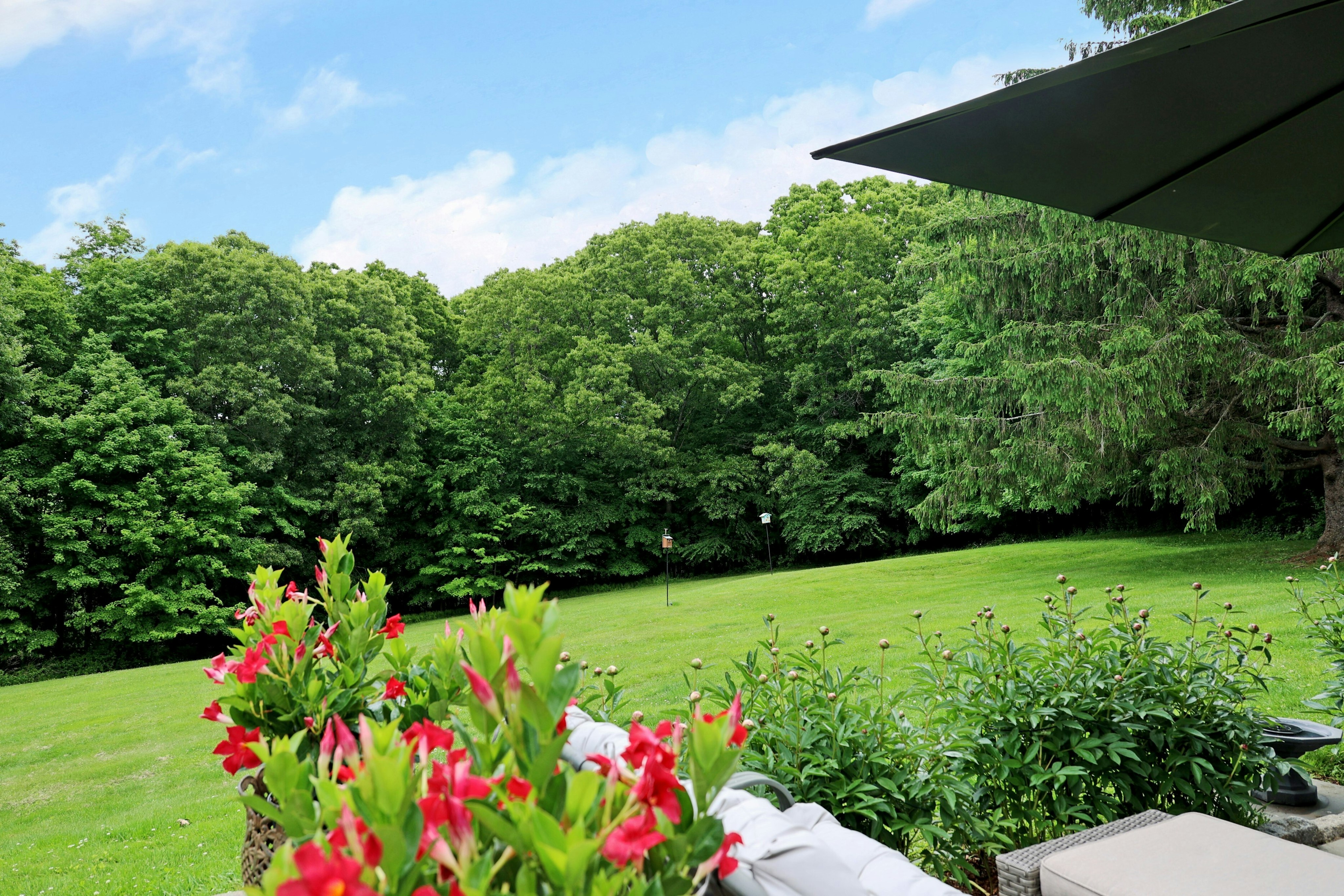  Truly Remarkable One of a Kind Home - 物件實景