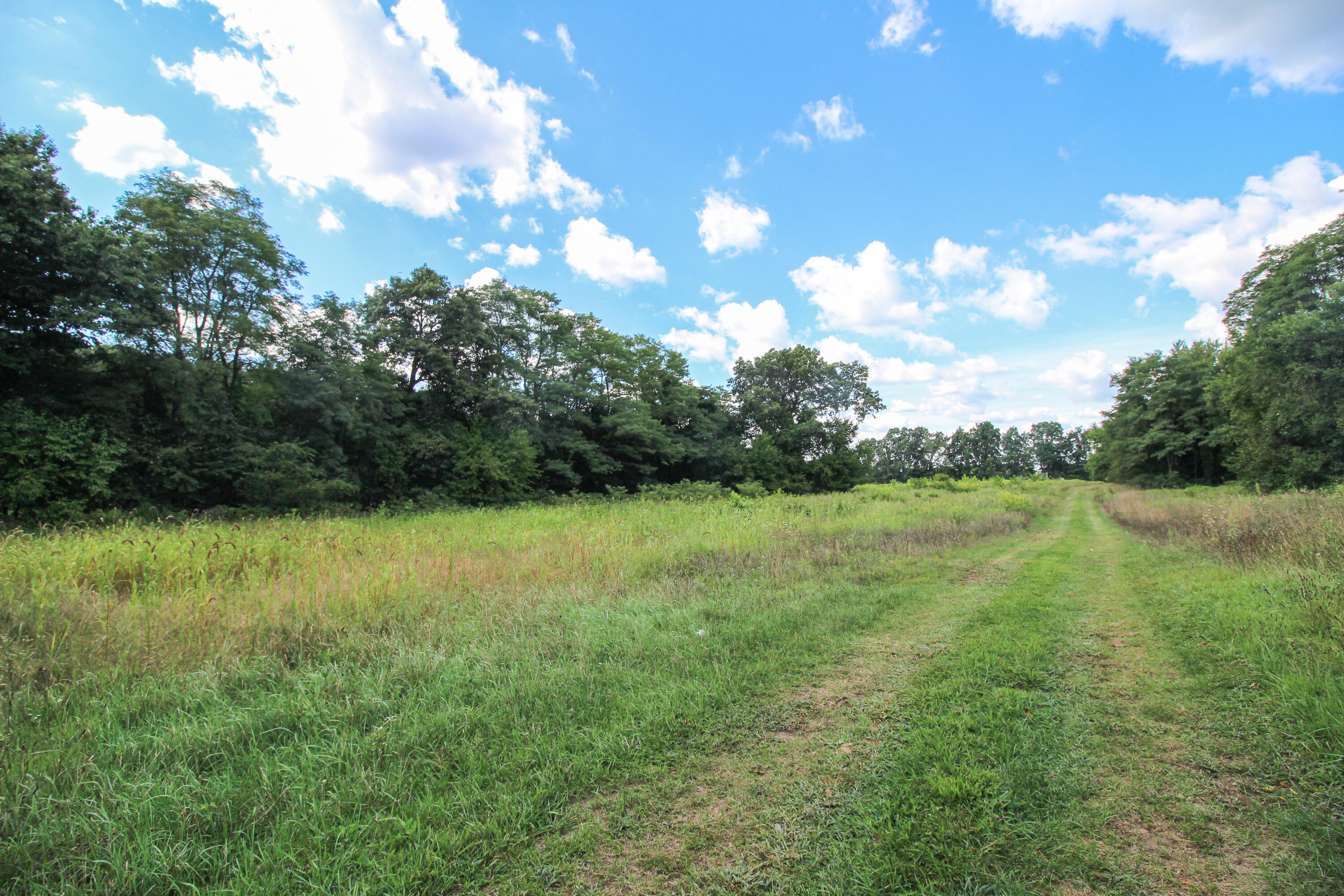 Three Rivers, Michigan, 49093, United States, 4 Bedrooms Bedrooms, ,1 BathroomBathrooms,Residential,For Sale,2006073