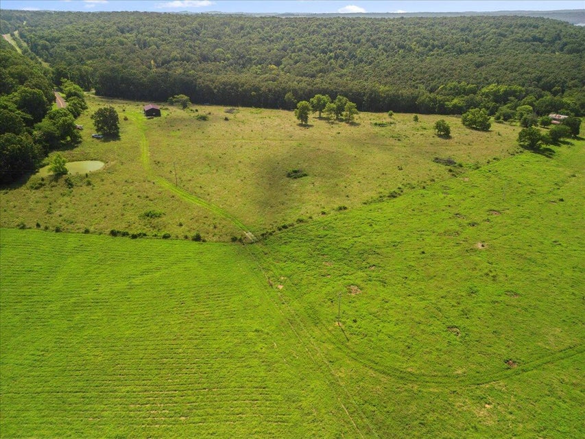 Udall, Missouri, 65766, United States, ,Land,For Sale,1984172