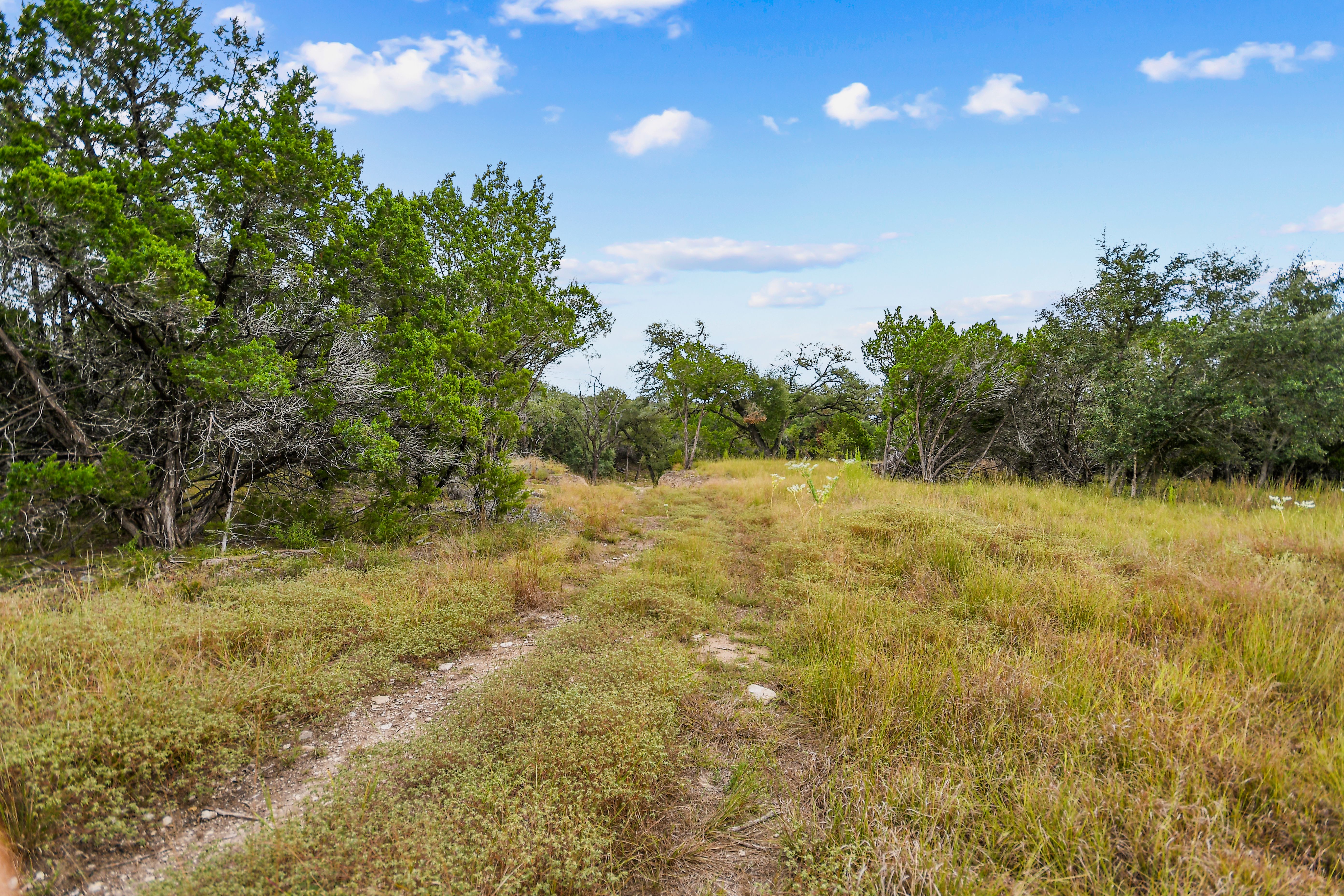  TBD Hwy 46 / Madrona Ranch Road, Pipe Creek, TX 78063 - 物件實景