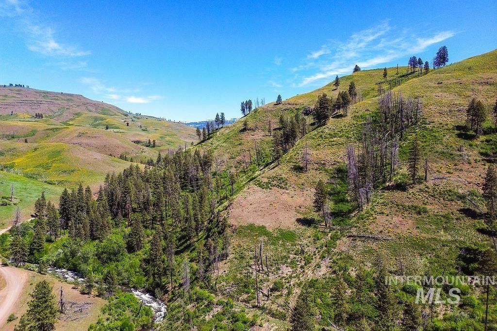 Council, Idaho, 83612, United States, ,Residential,For Sale,1862004