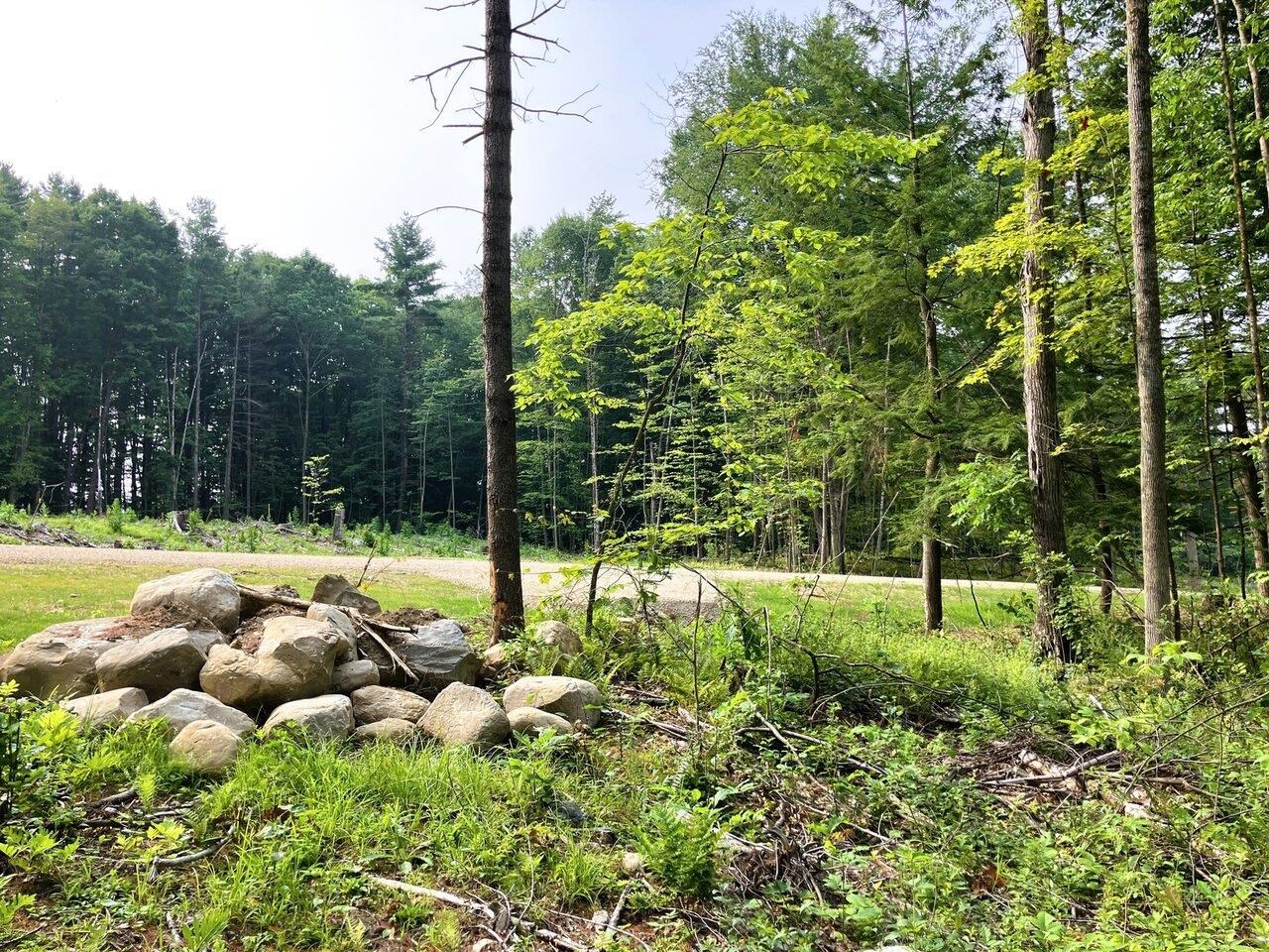 Leicester, Vermont, 05733, United States, ,Land,For Sale,1916983