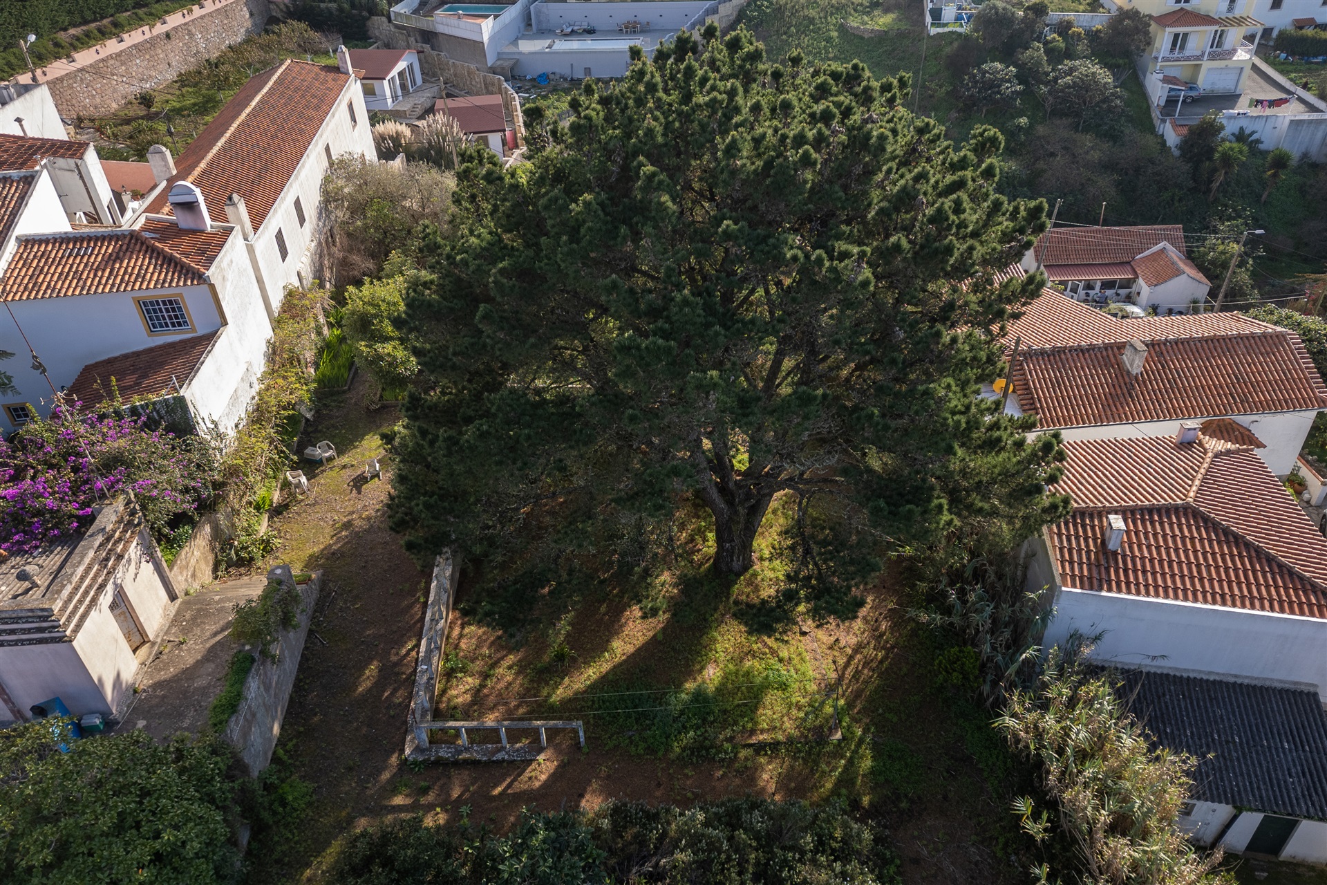  Terreno com ruina, 4 bedrooms, for Sale - 物件實景