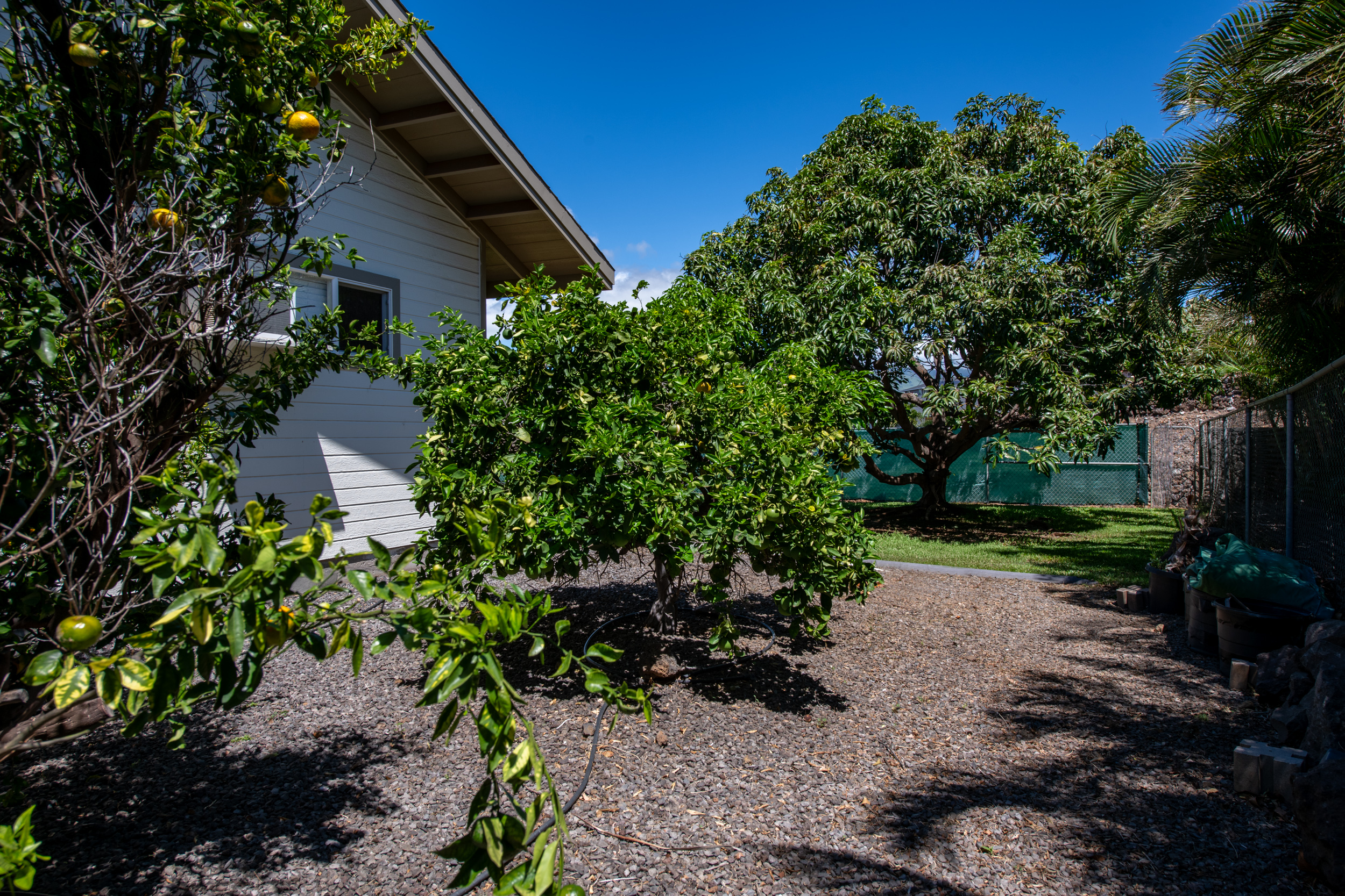  68-3559 Awamoa Pl, Waikoloa, HI, 96738 - 物件實景