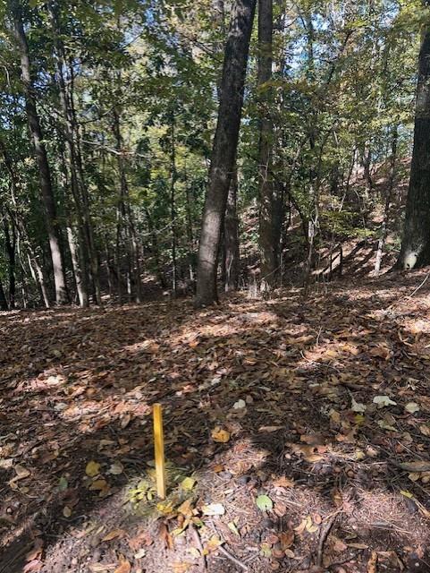 Atlanta, Georgia, 30327, United States, ,Land,For Sale,1988161