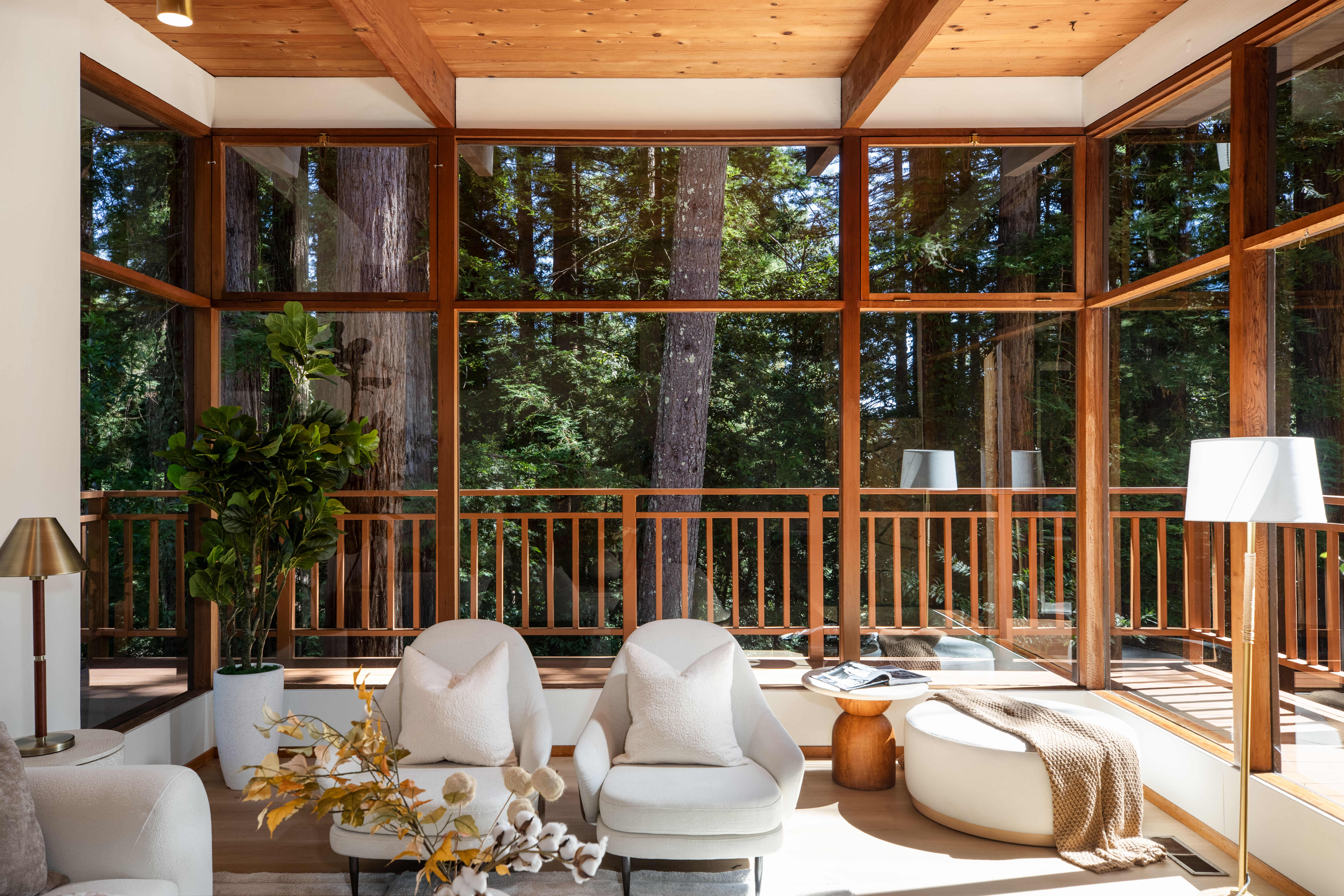  Sunlight Among the Redwoods - 物件實景