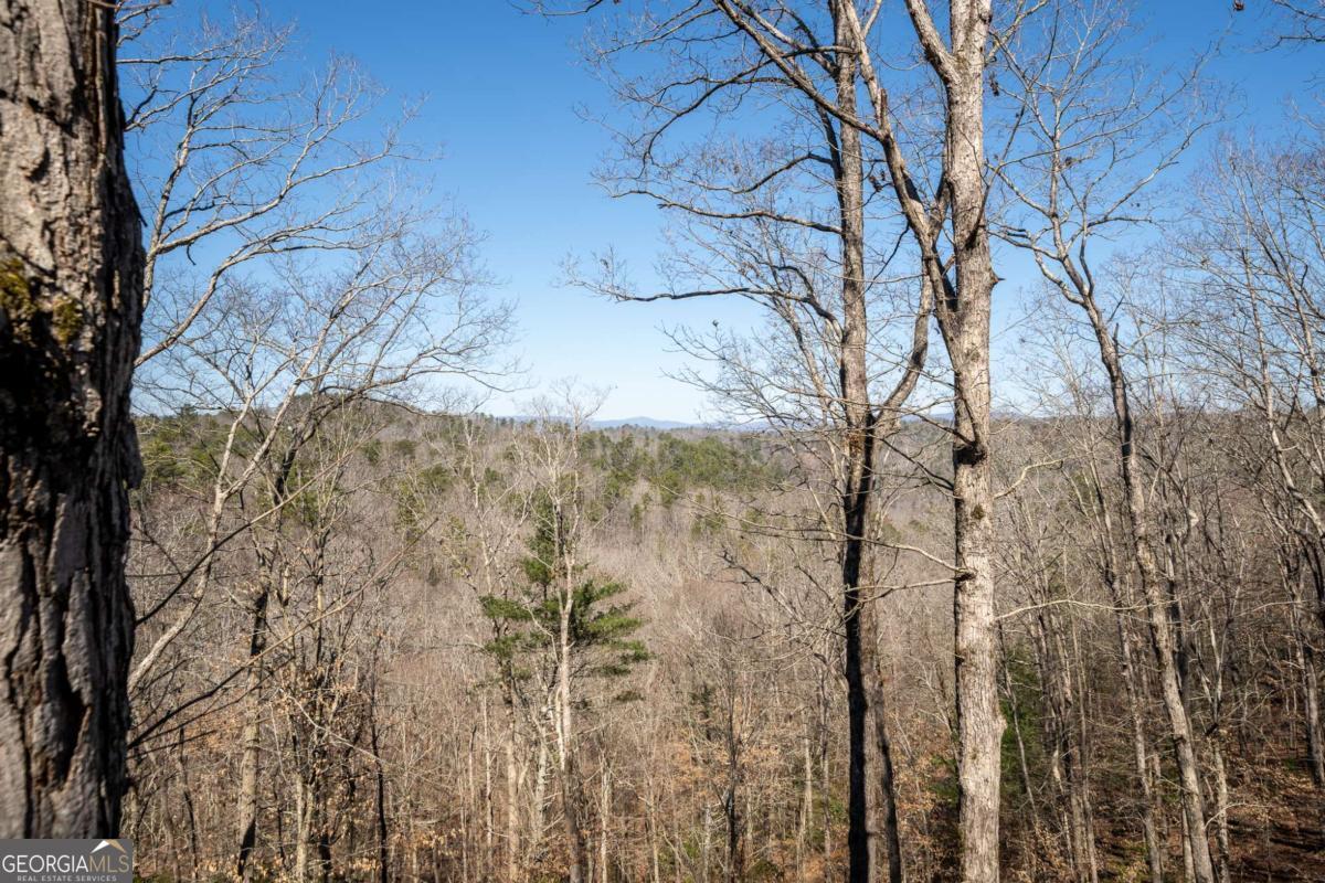 Ellijay, Georgia, 30540, United States, 4 Bedrooms Bedrooms, ,4 BathroomsBathrooms,Residential,For Sale,1859084