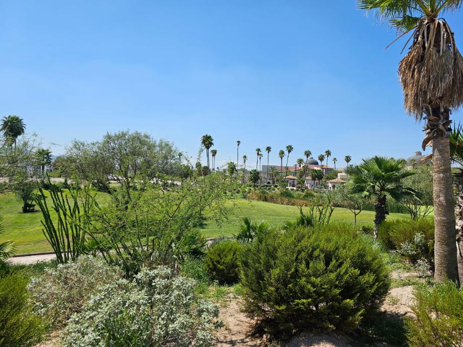 Sierra de los Alpes, Torreón, Coahuila de Zaragoza, 27274, Mexico, 1 Bedroom Bedrooms, ,Residential,For Sale,Sierra de los Alpes,1599847