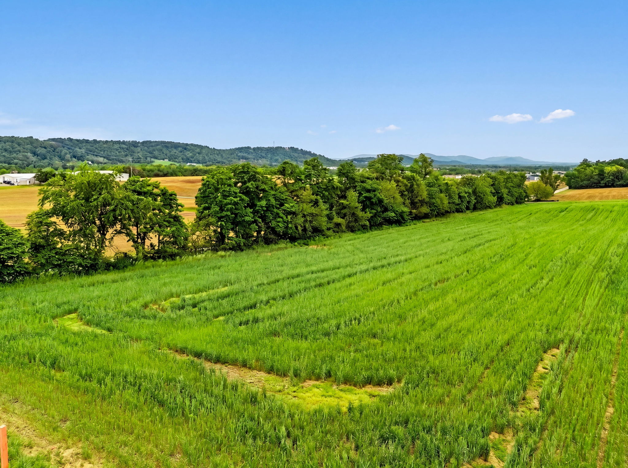  Ridge (lot1.95 Ac Lot B) Road, Hedgesville, WV, 25427 - 物件實景