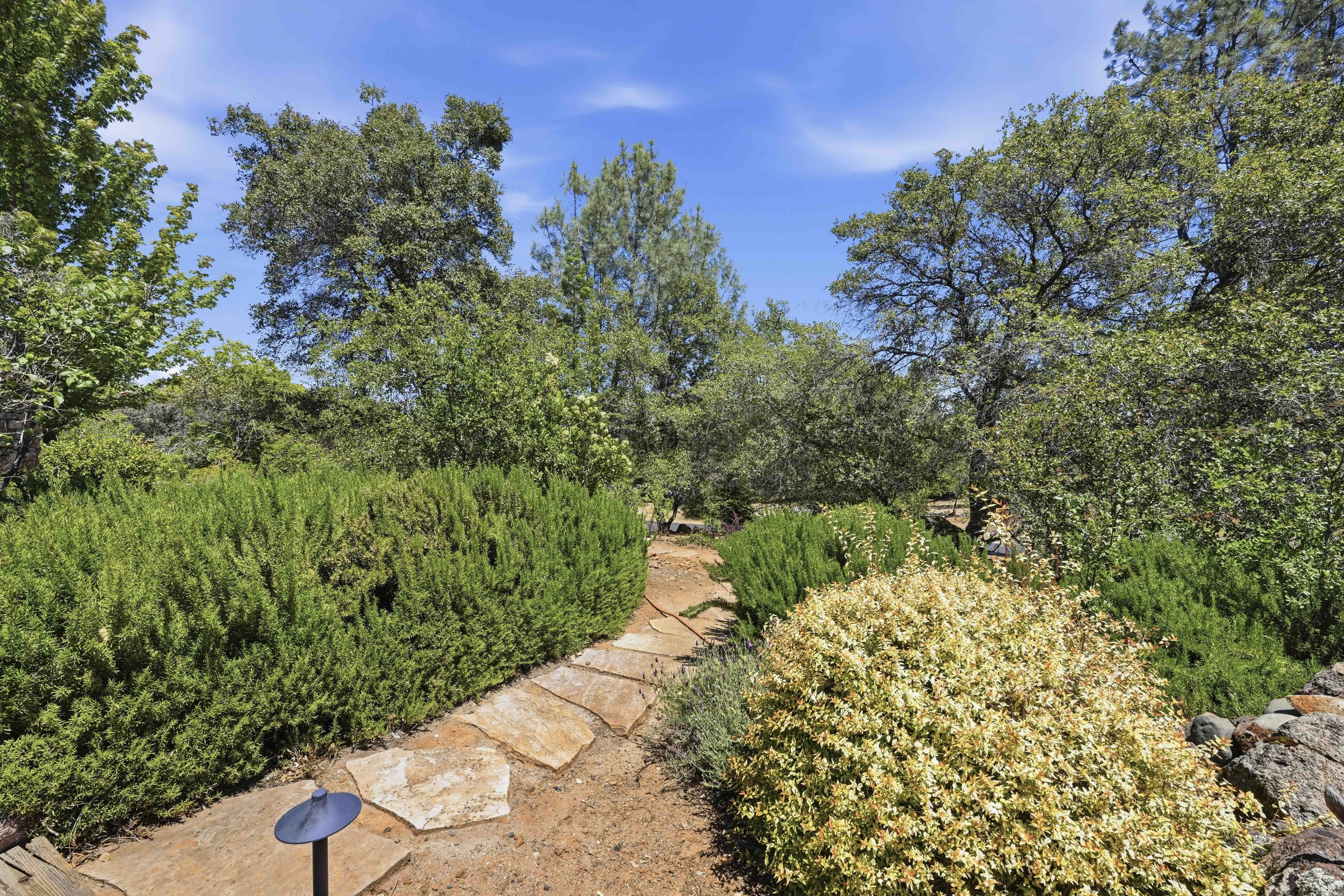  17340 Winchester Club Drive, Meadow Vista, CA 95722 - 物件實景