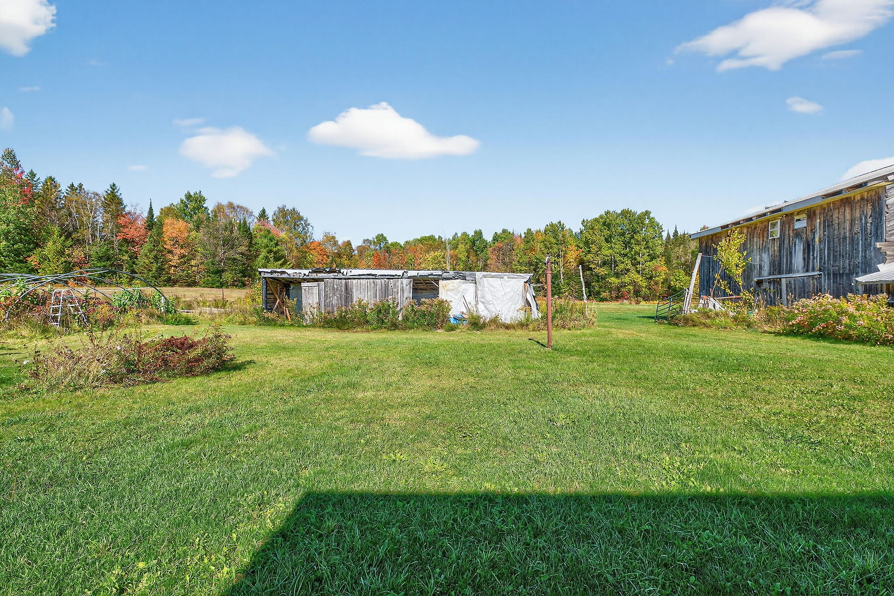  Peaceful Country Acreage - 物件實景