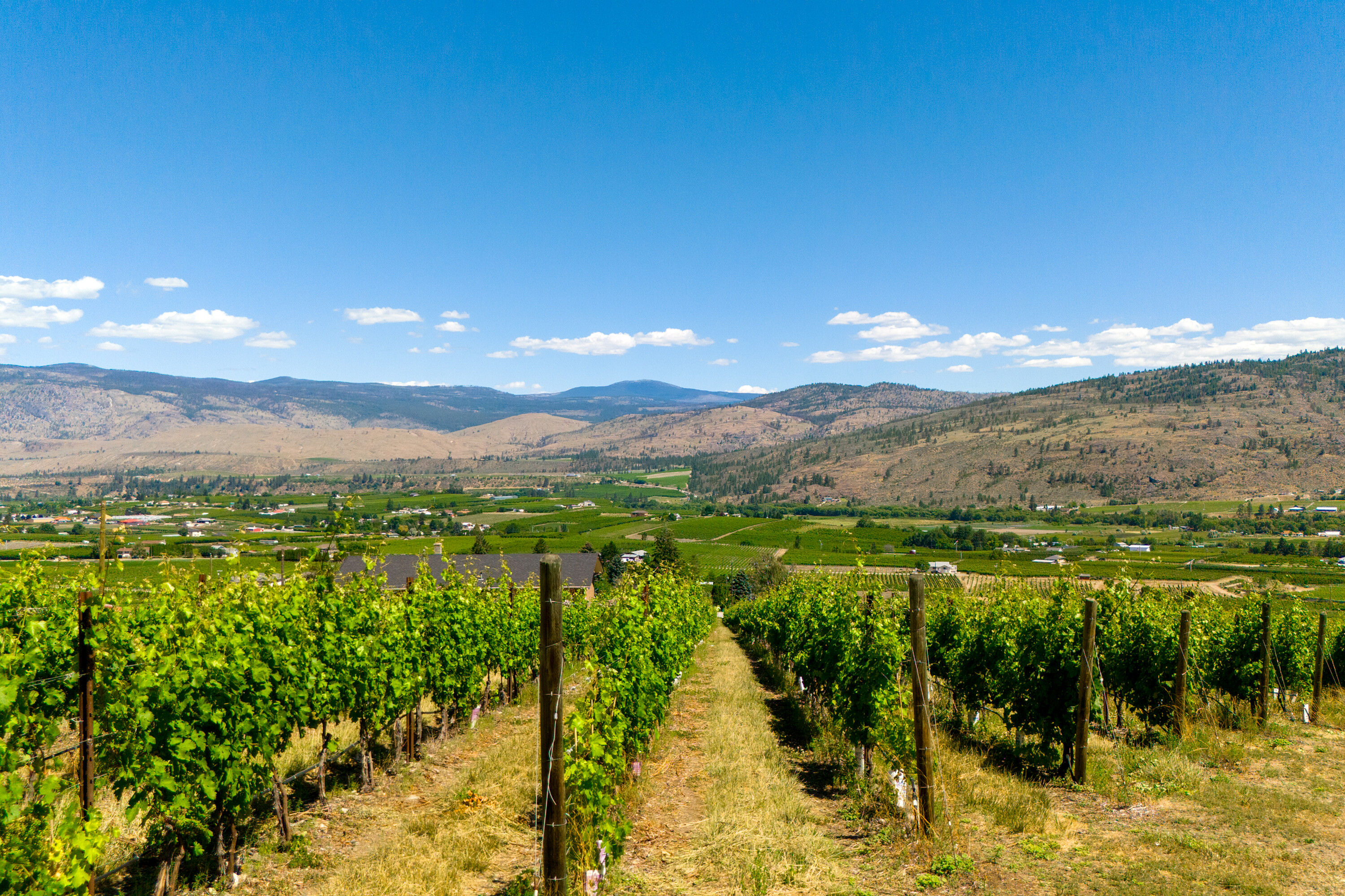  Vineyard Receivership - 物件實景