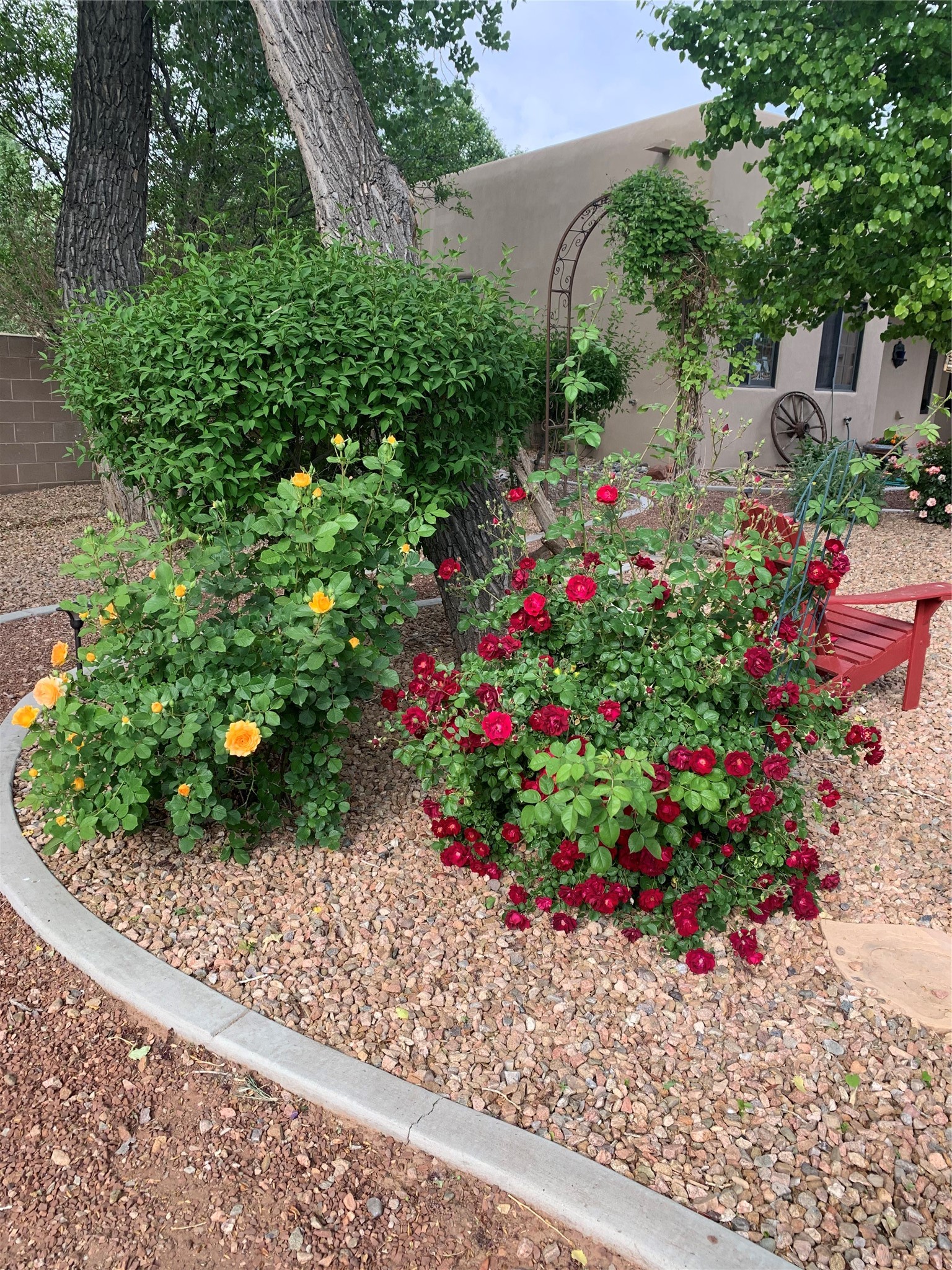  924 Camino Vista Rio - 物件實景