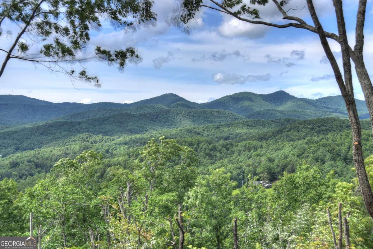 Mineral Bluff, Georgia, 30559, United States, 4 Bedrooms Bedrooms, ,4 BathroomsBathrooms,Residential,For Sale,1876887