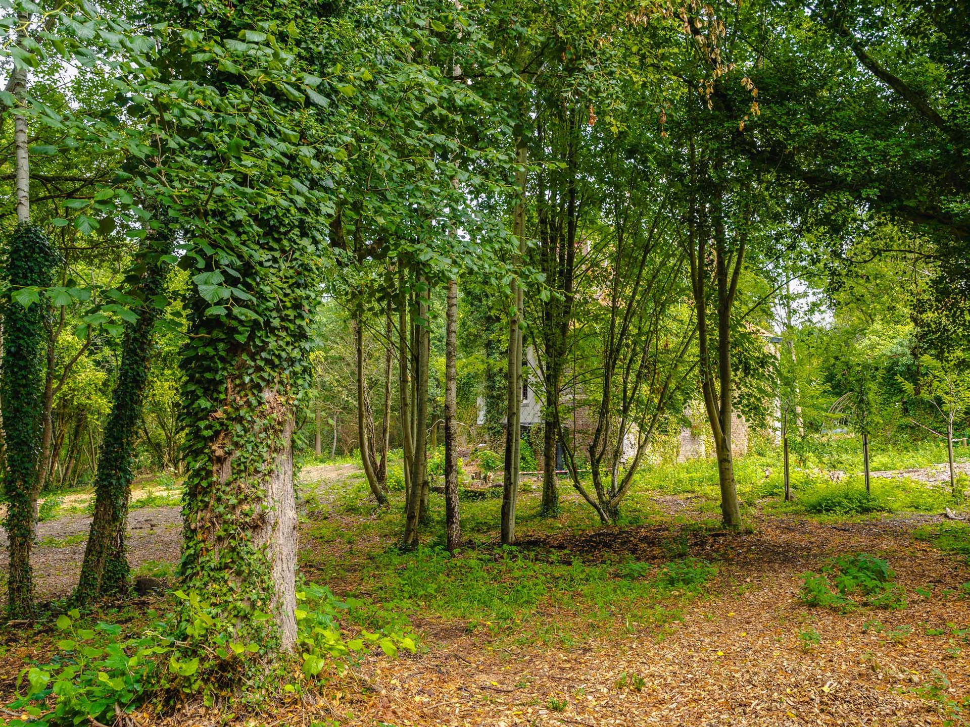  Brabant Wallon I La Hulpe - 物件實景