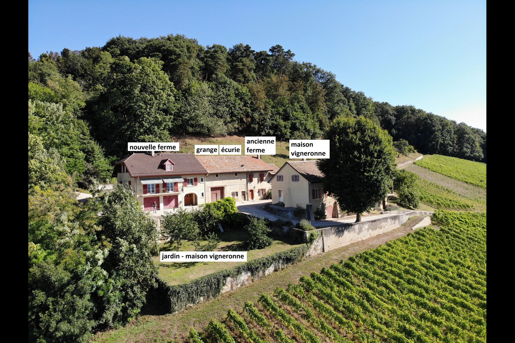  Wine-growing estate with forest, breathtaking lake view - 物件實景