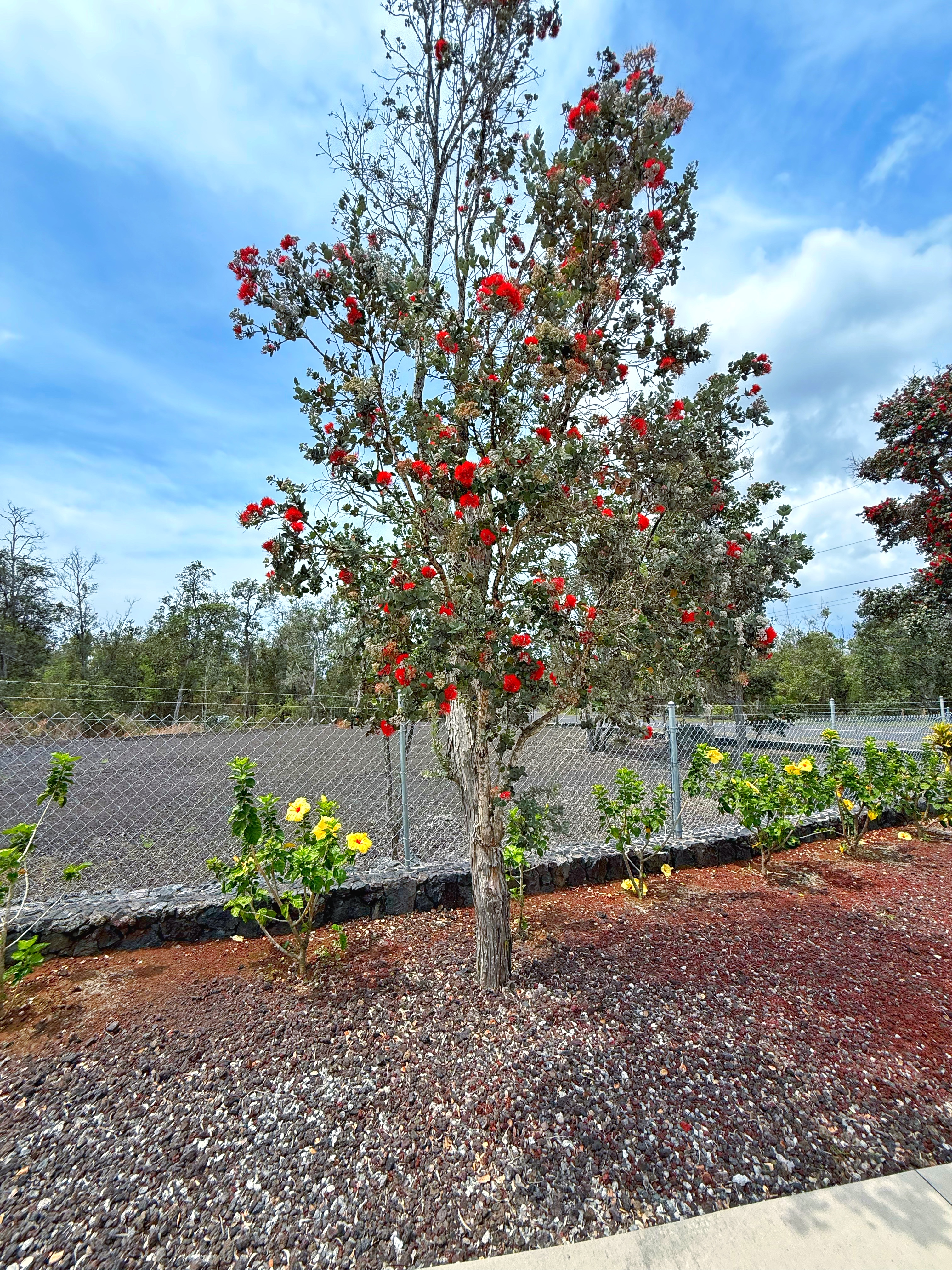 Ocean View, Hawaii, 96737, United States, 3 Bedrooms Bedrooms, ,2 BathroomsBathrooms,Residential,For Sale,1826503