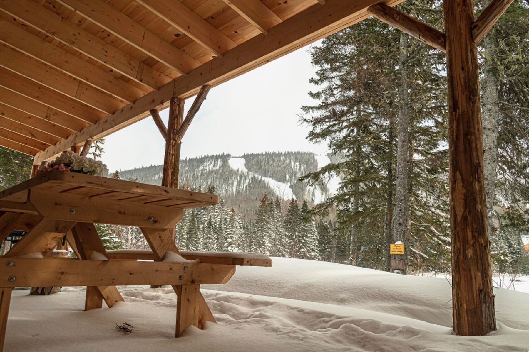  Chalet de villégiature - 物件實景