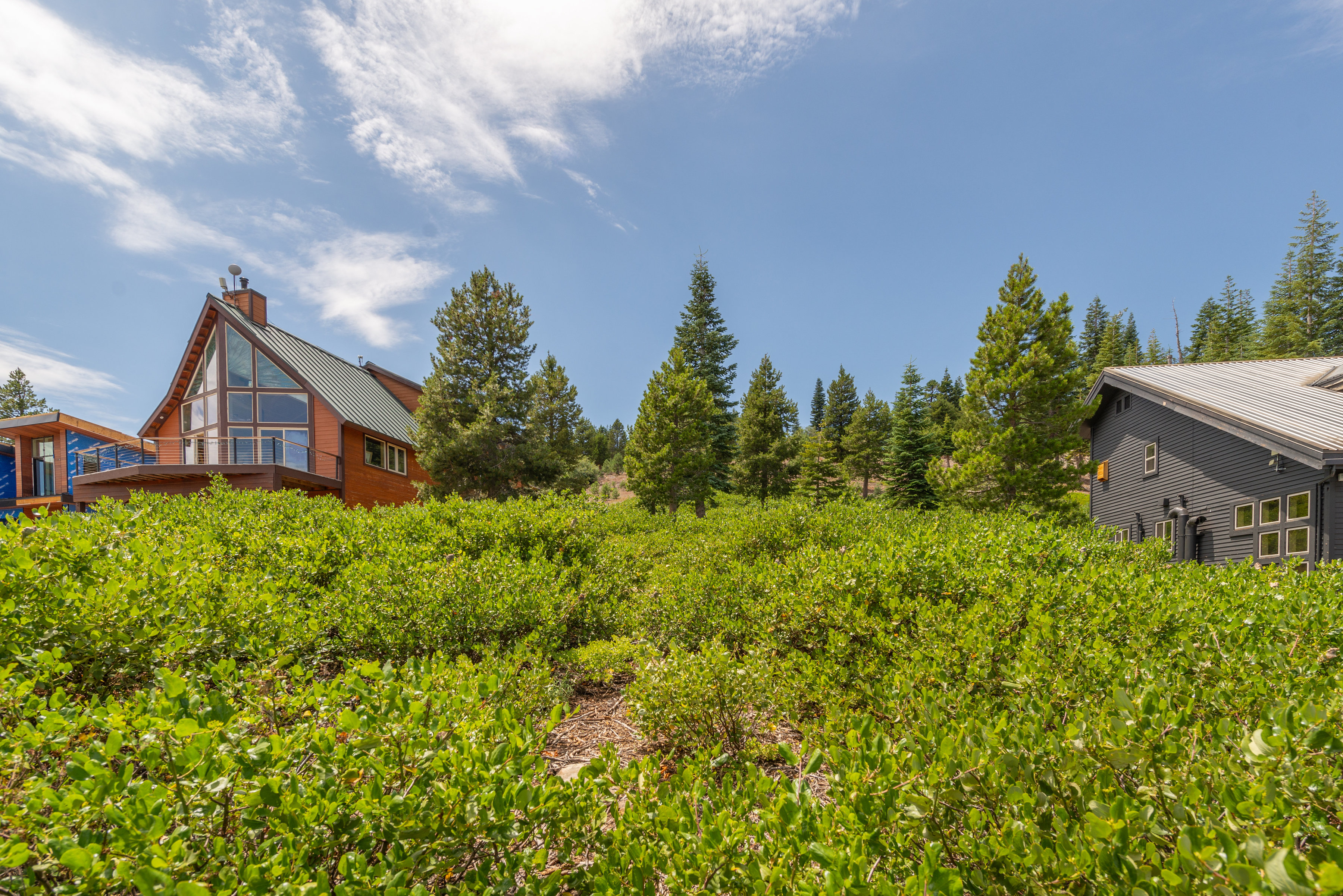  Build Your Mountain Retreat with Backcountry Access - 物件實景