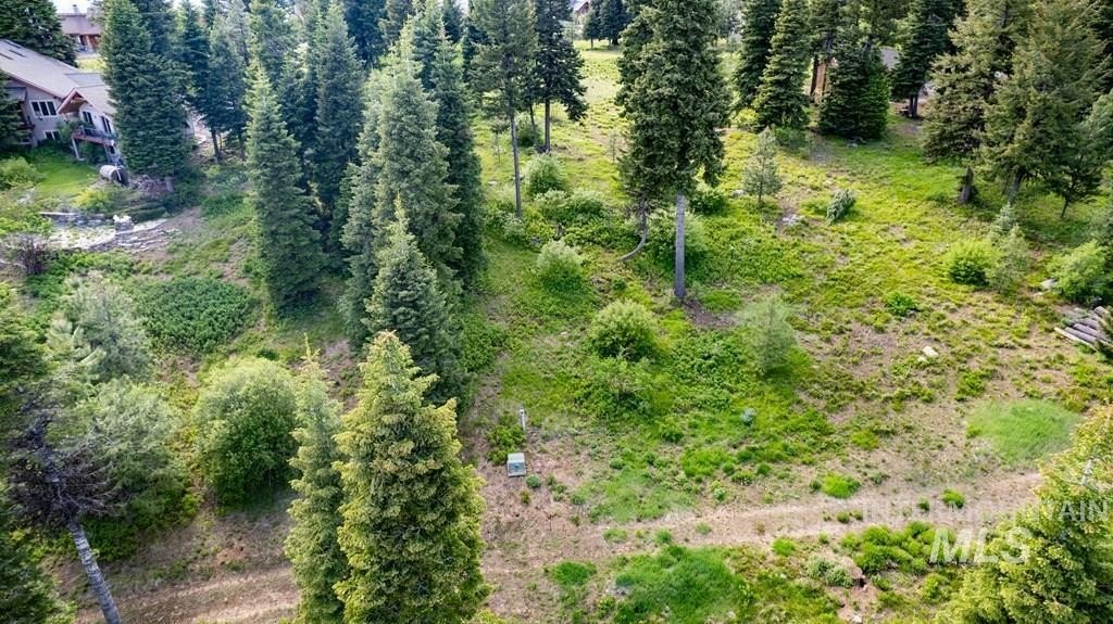 McCall, Idaho, 83638, United States, ,Land,For Sale,1983589