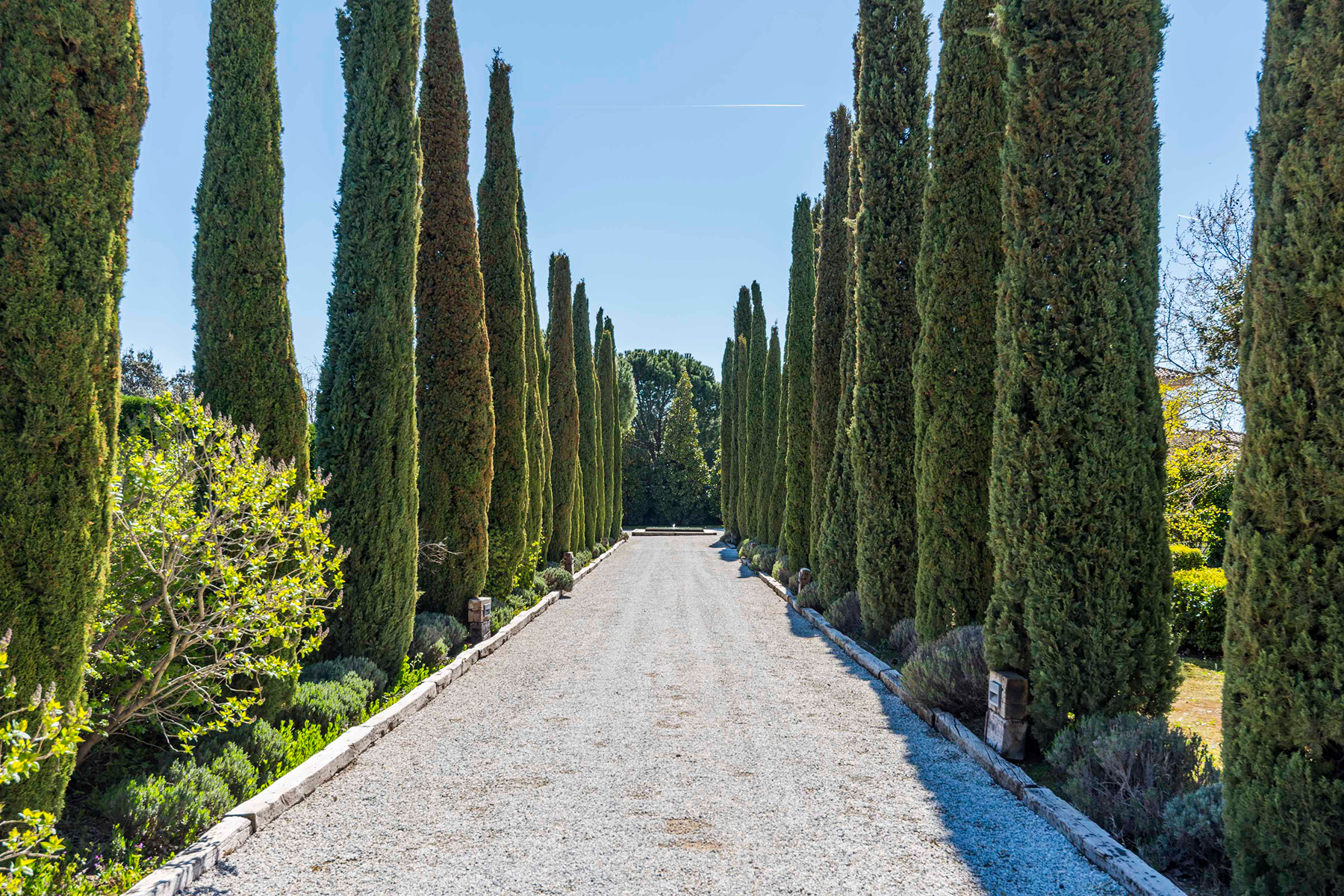  Equestrian estate: Elegance, nature, and horses at the gates of Madrid - 物件實景