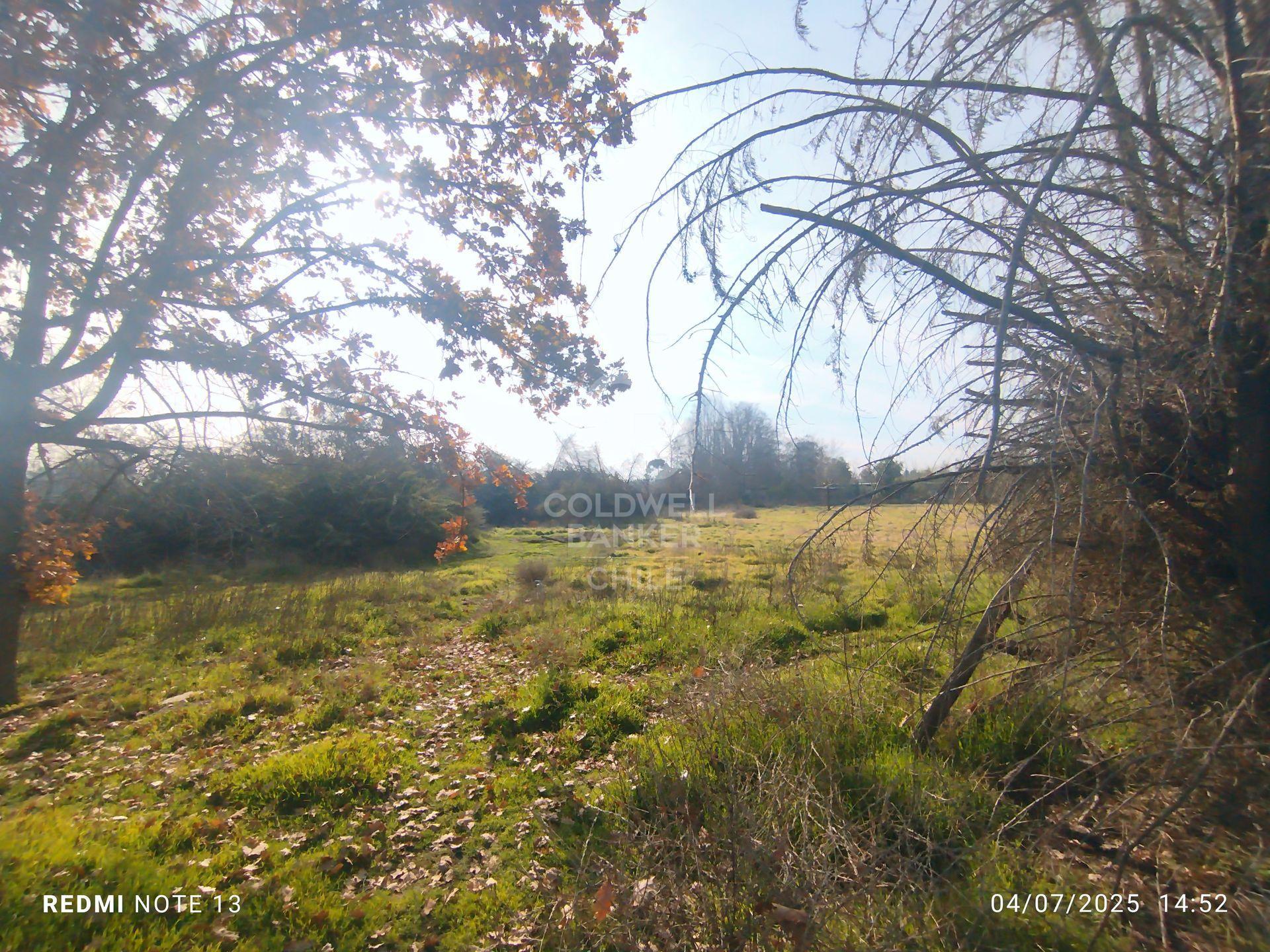 Colina, Chile, ,Residential,For Sale,1901771