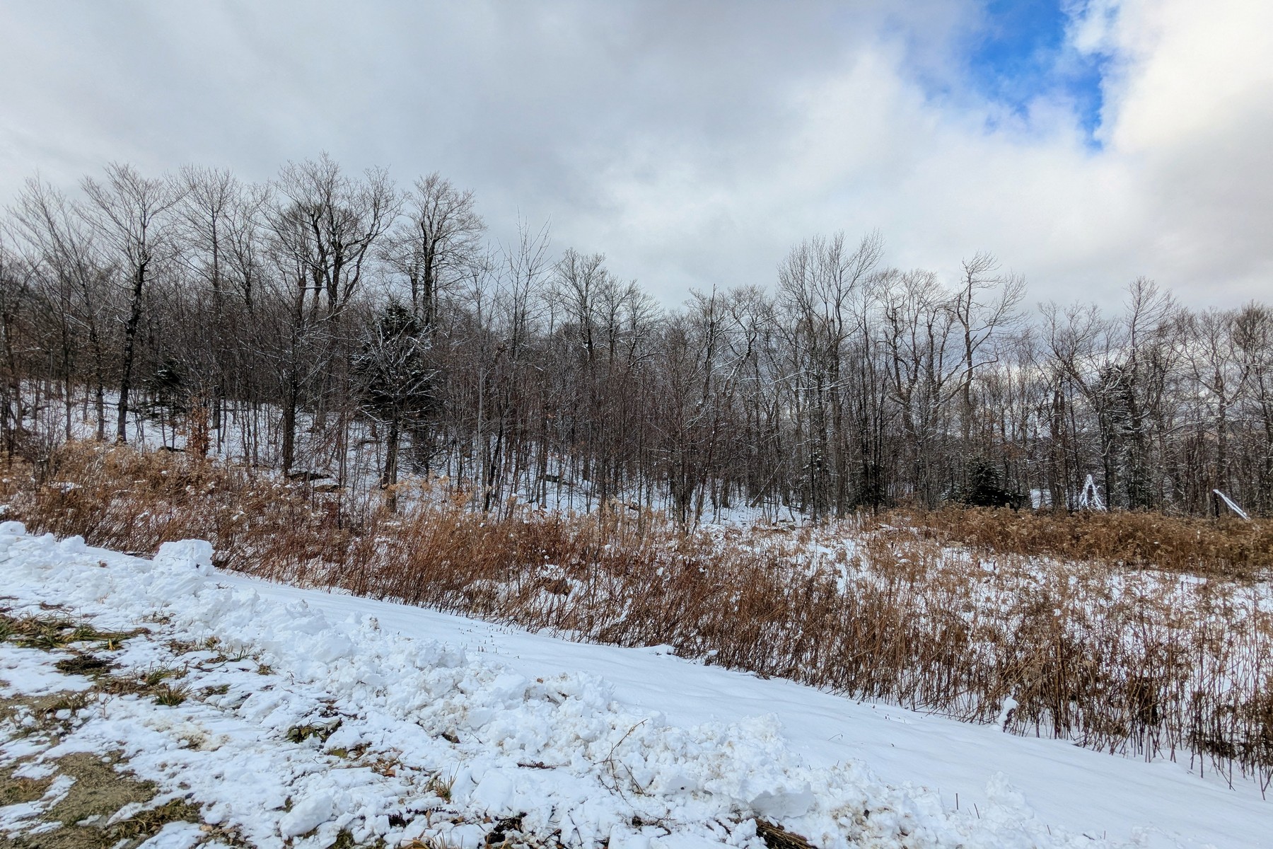  41 Moose Hollow Road - 物件實景