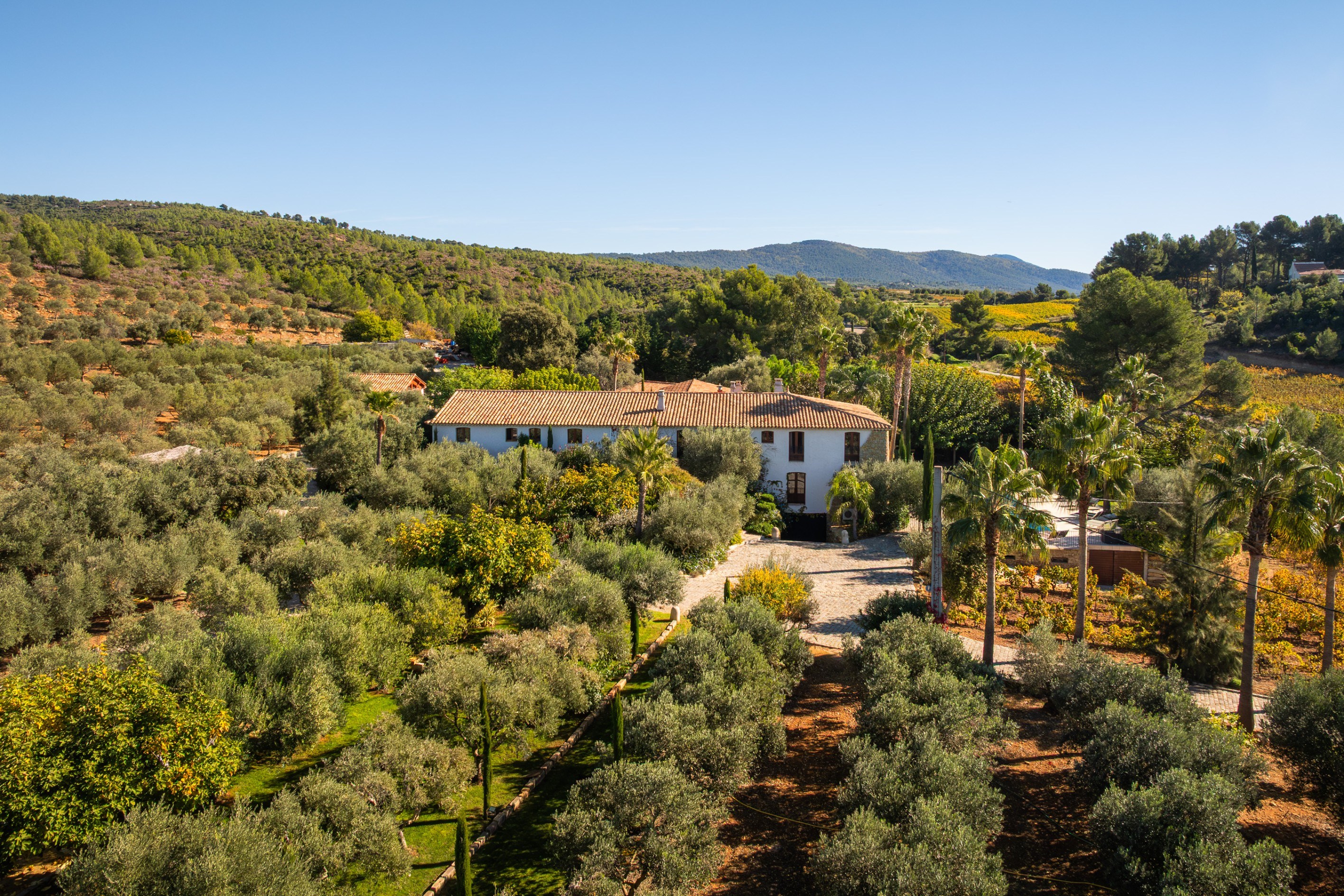  Le Castellet, Provence – Wine and Olive Estate - 物件實景