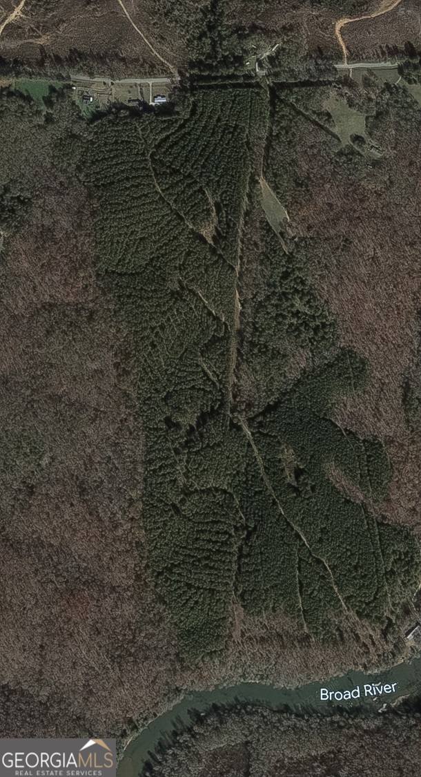 Bowman, Georgia, 30624, United States, ,Land,For Sale,1988197