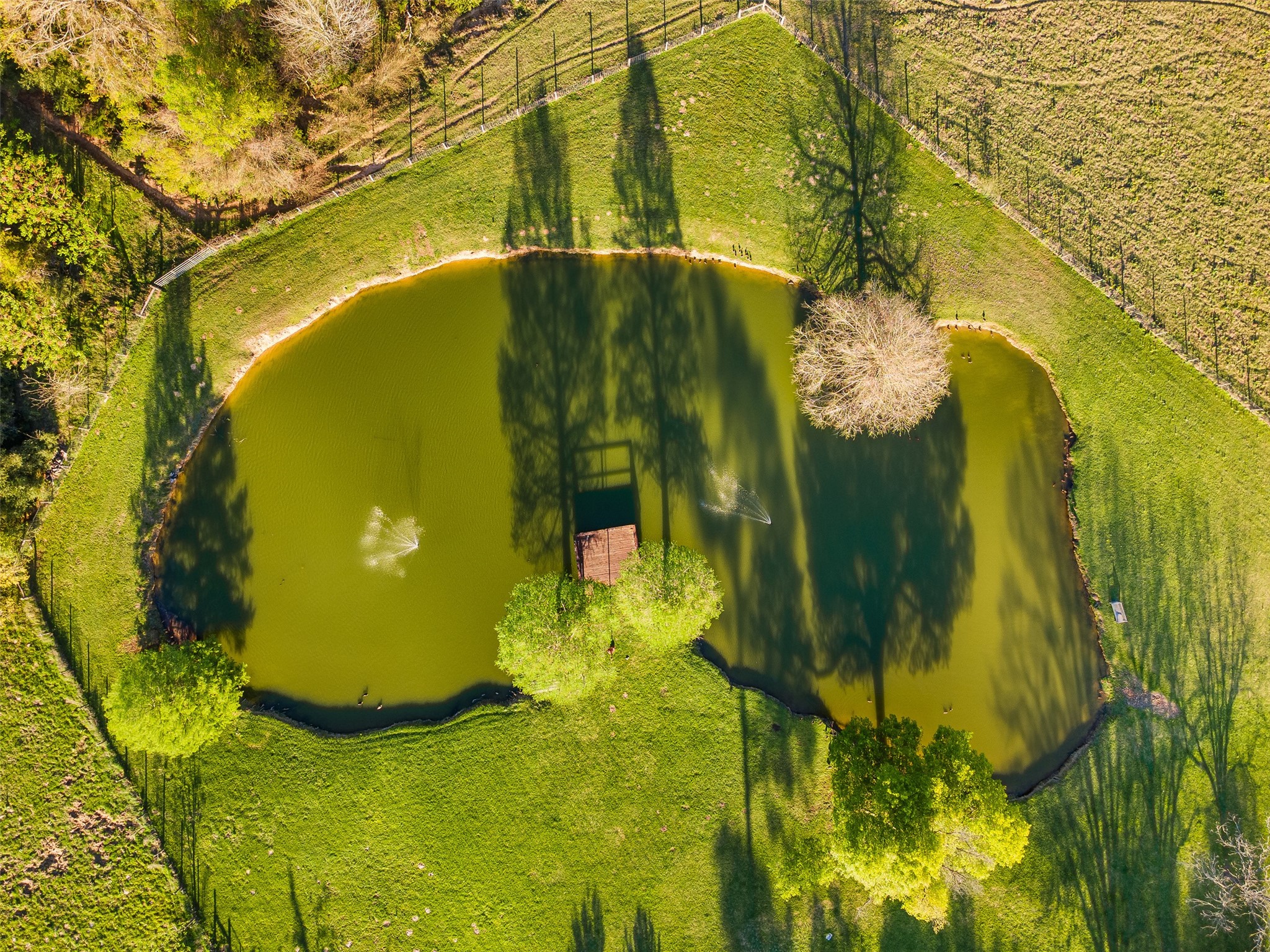  8787 Locke Road - 物件實景