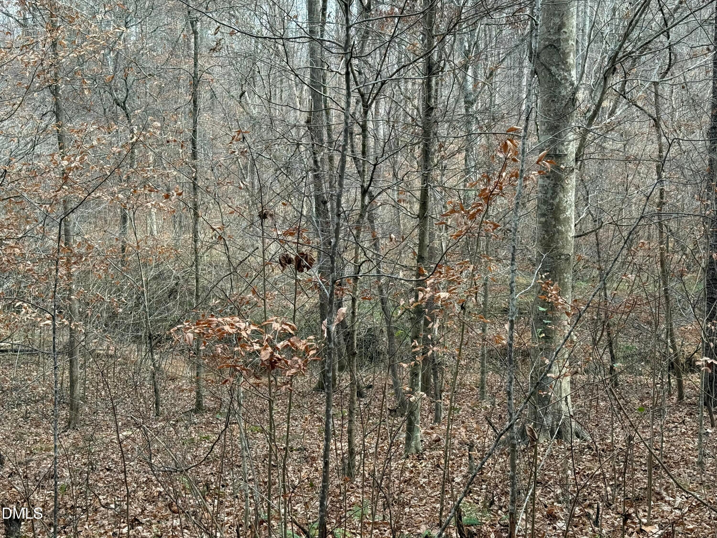 Oxford, North Carolina, 27565, United States, ,Land,For Sale,2000467