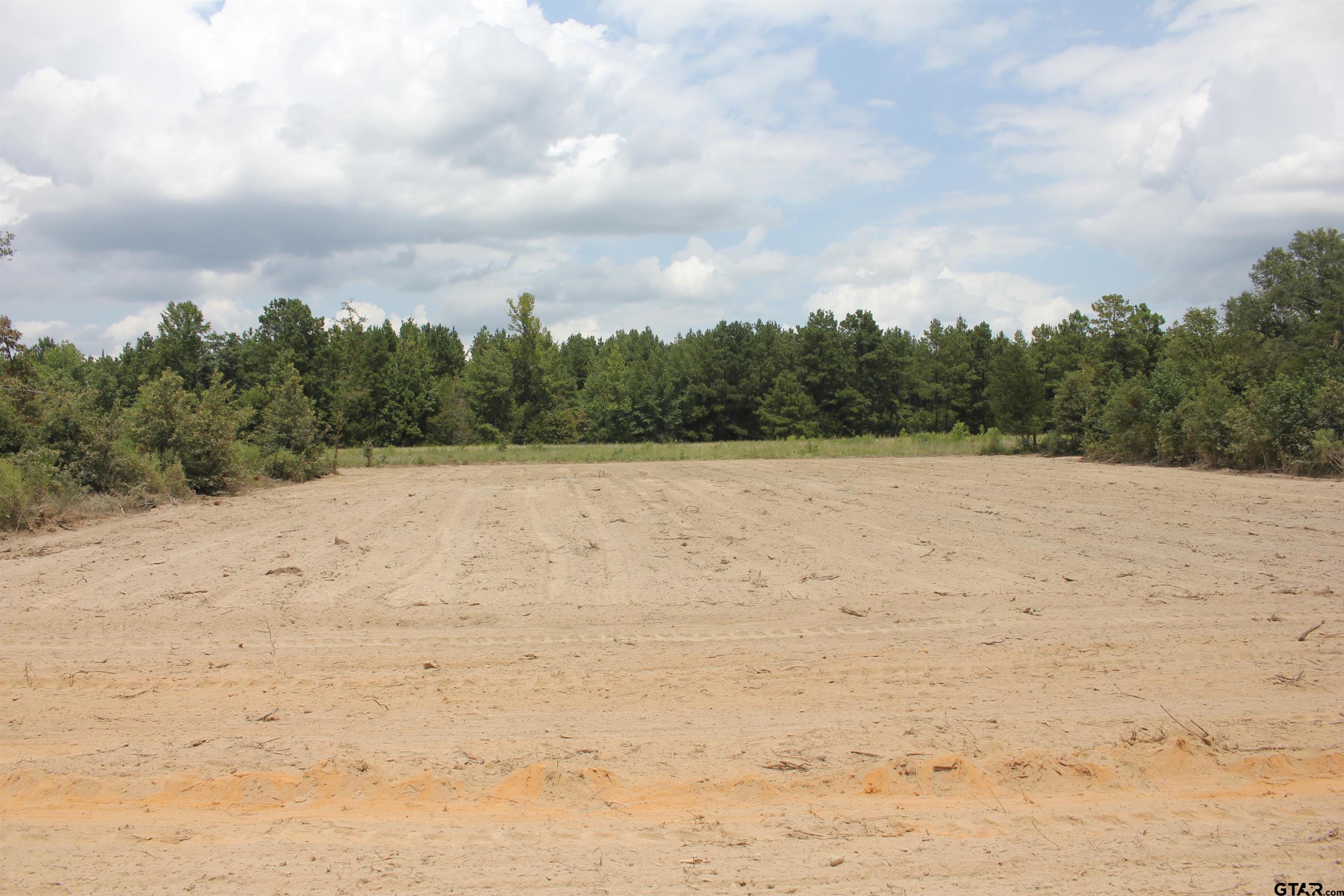 TBD Intersection CR 1324 & CR 1301, Marshall, Texas, 75672, United States, ,Land,For Sale,TBD Intersection CR 1324 & CR 1301,1610763