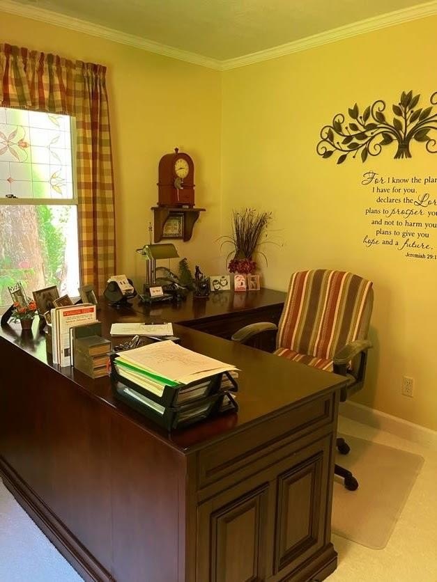 Young Harris, Georgia, 30582, United States, 3 Bedrooms Bedrooms, ,3 BathroomsBathrooms,Residential,For Sale,1915067