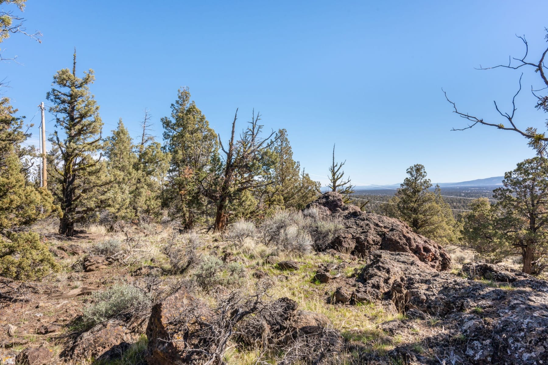  19040 Dusty Loop Bend, OR 97703 - 物件實景
