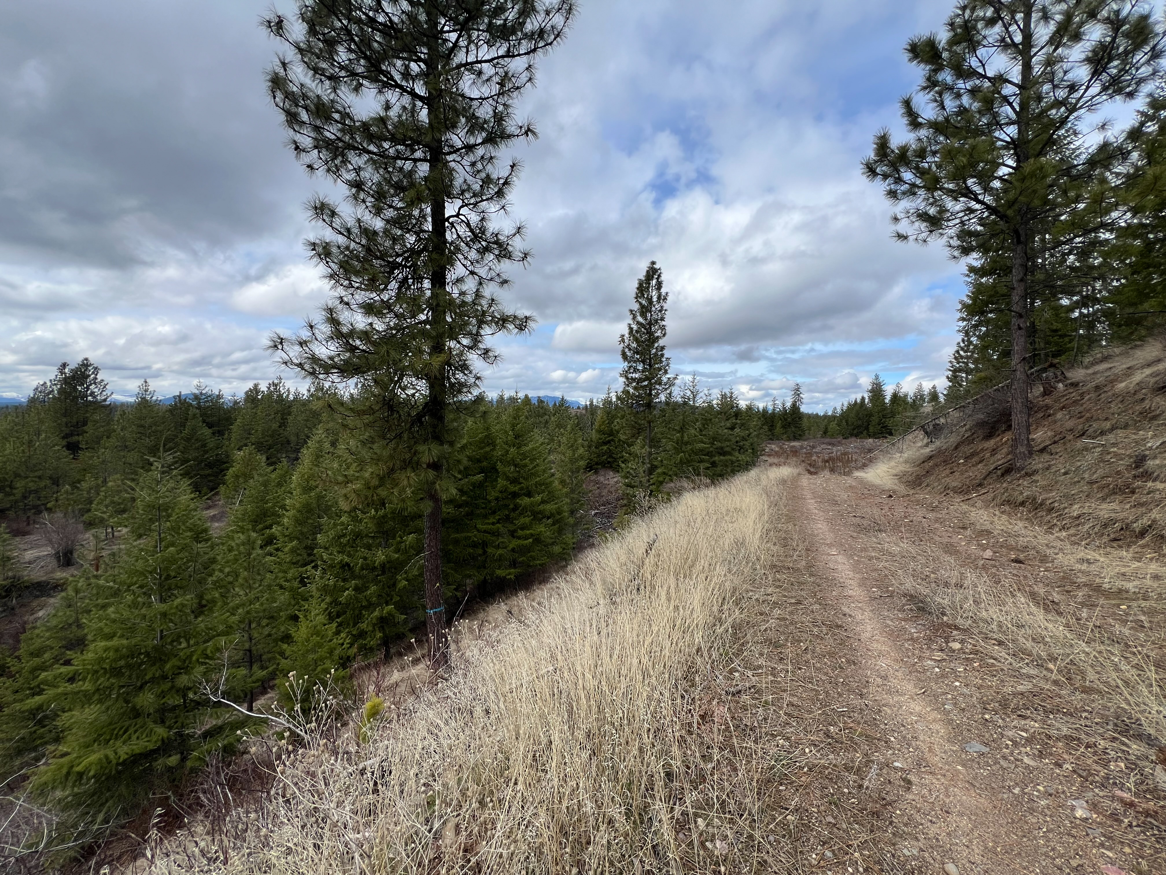 Valley, Washington, 99181, United States, ,Land,For Sale,1979391