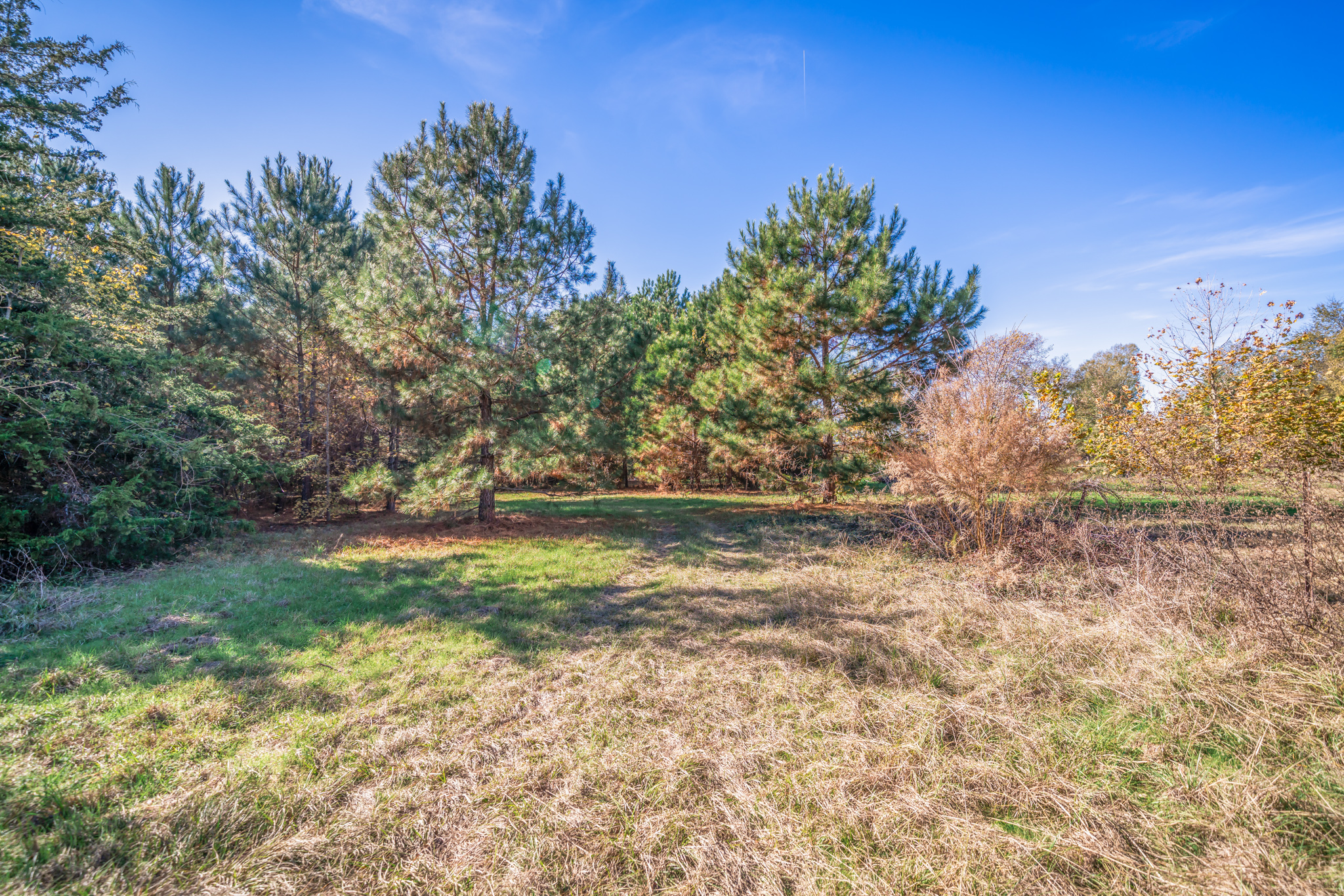 Jacksonville, Texas, 75766, United States, 3 Bedrooms Bedrooms, ,2 BathroomsBathrooms,Residential,For Sale,2012358